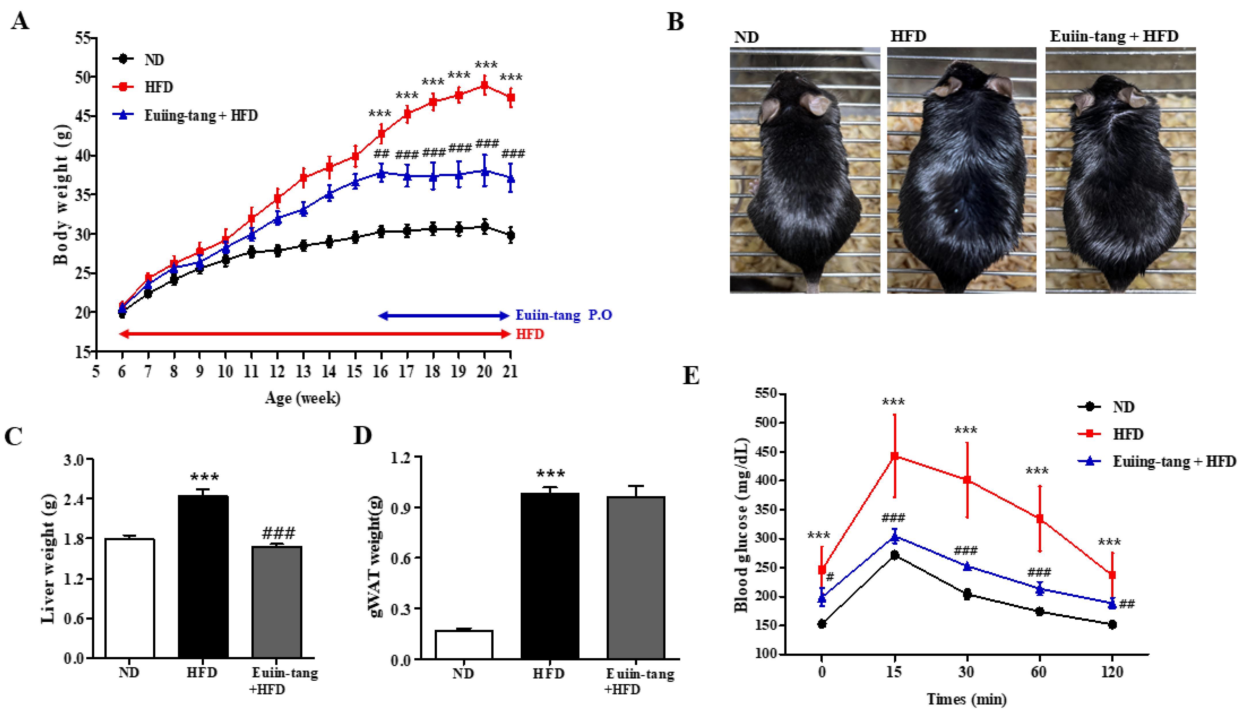 Pharmaceuticals 17 00853 g001 Pharmaceuticals 17 00853 g001