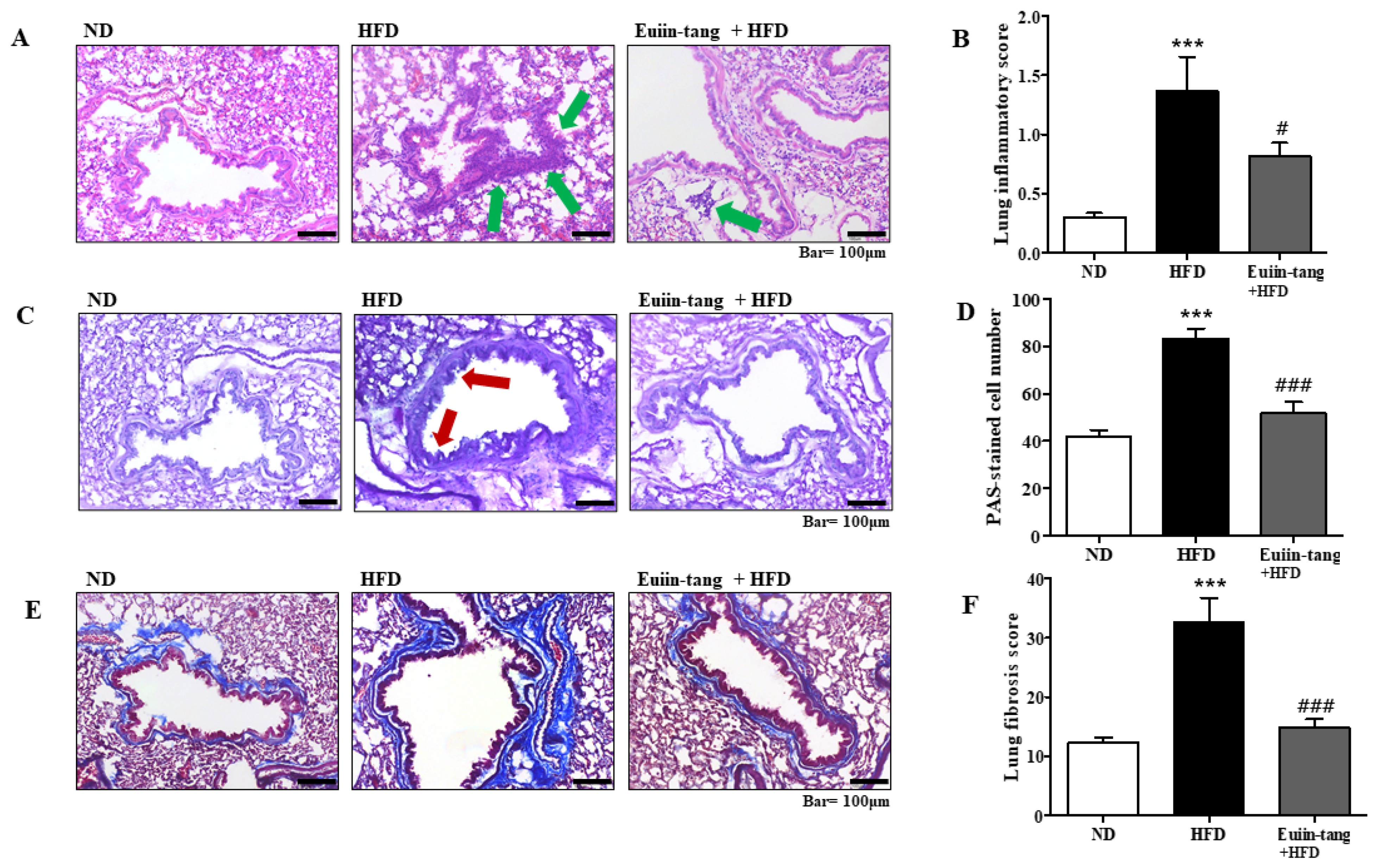 Pharmaceuticals 17 00853 g003 Pharmaceuticals 17 00853 g003