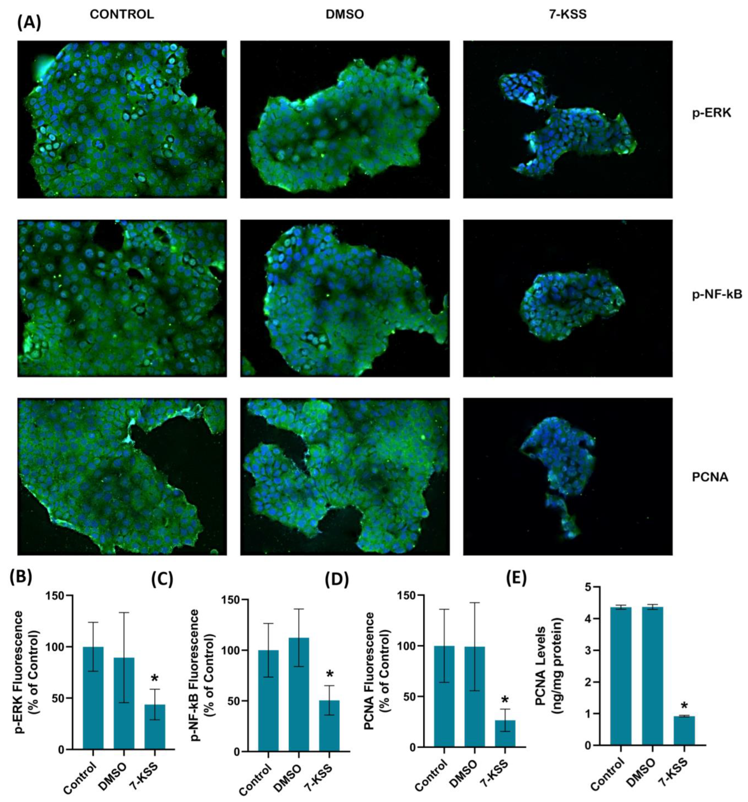 Pharmaceuticals 17 00860 g002