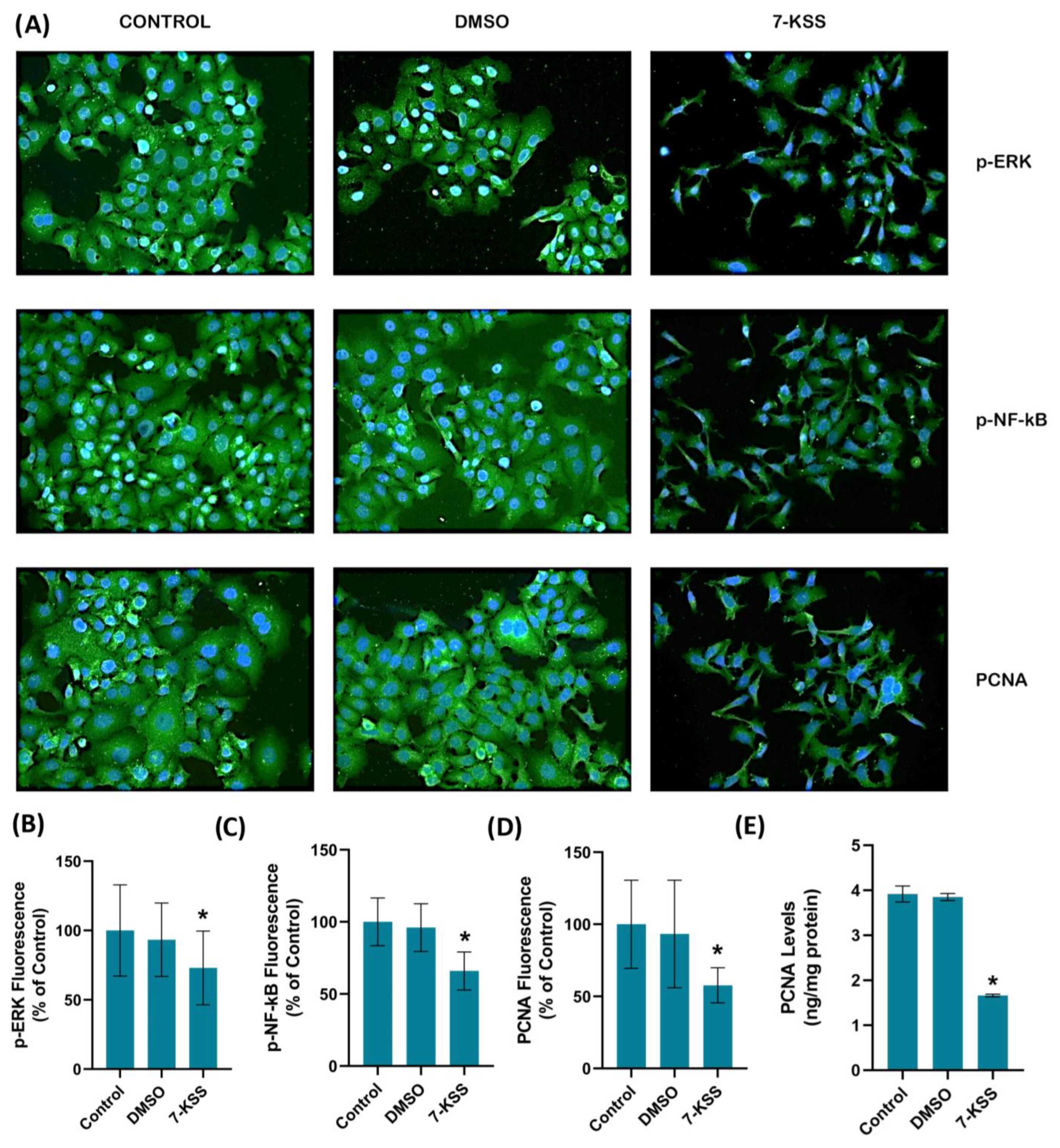 Pharmaceuticals 17 00860 g003
