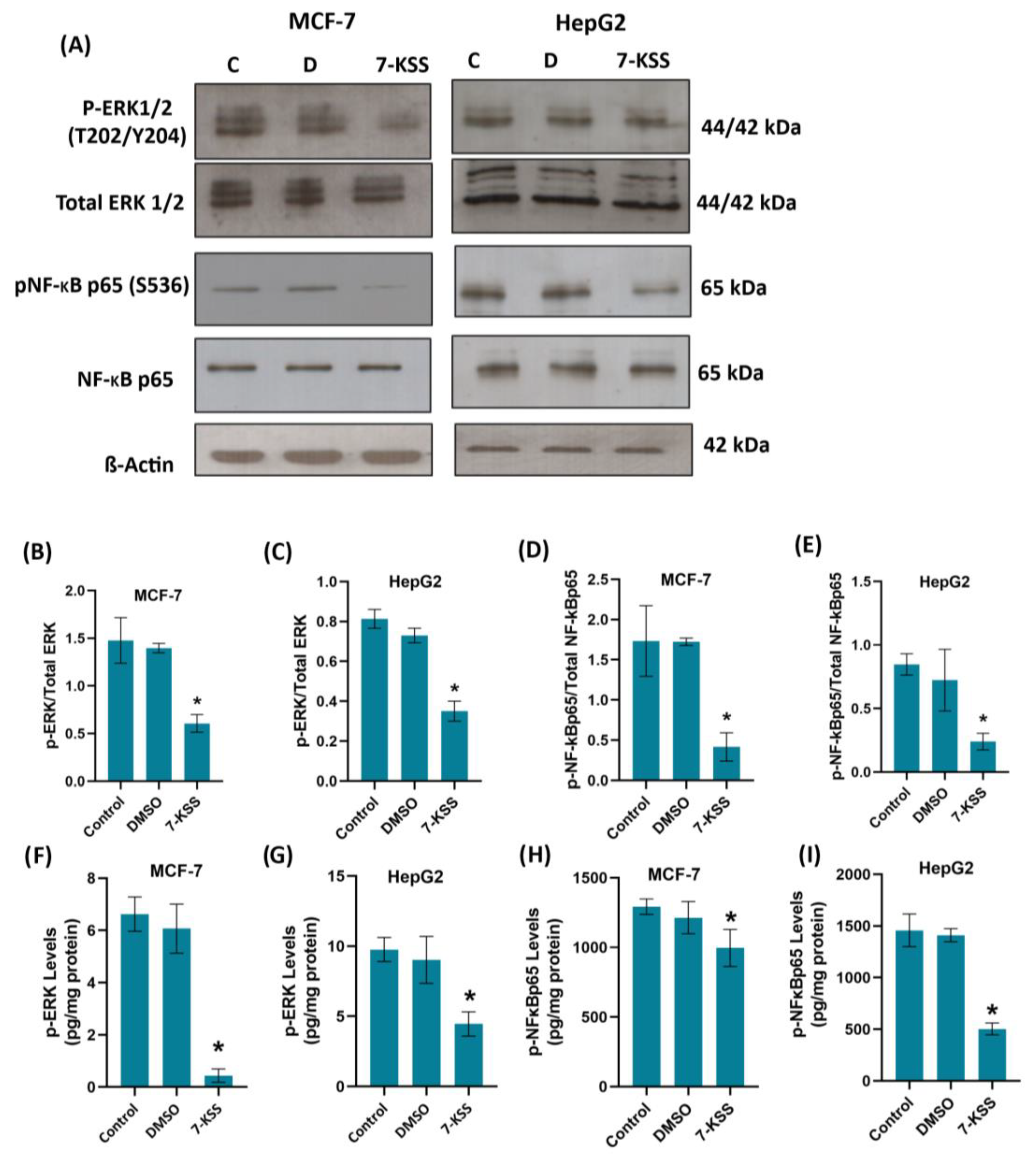 Pharmaceuticals 17 00860 g004