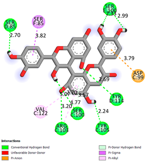 Pharmaceuticals 17 00877 i013