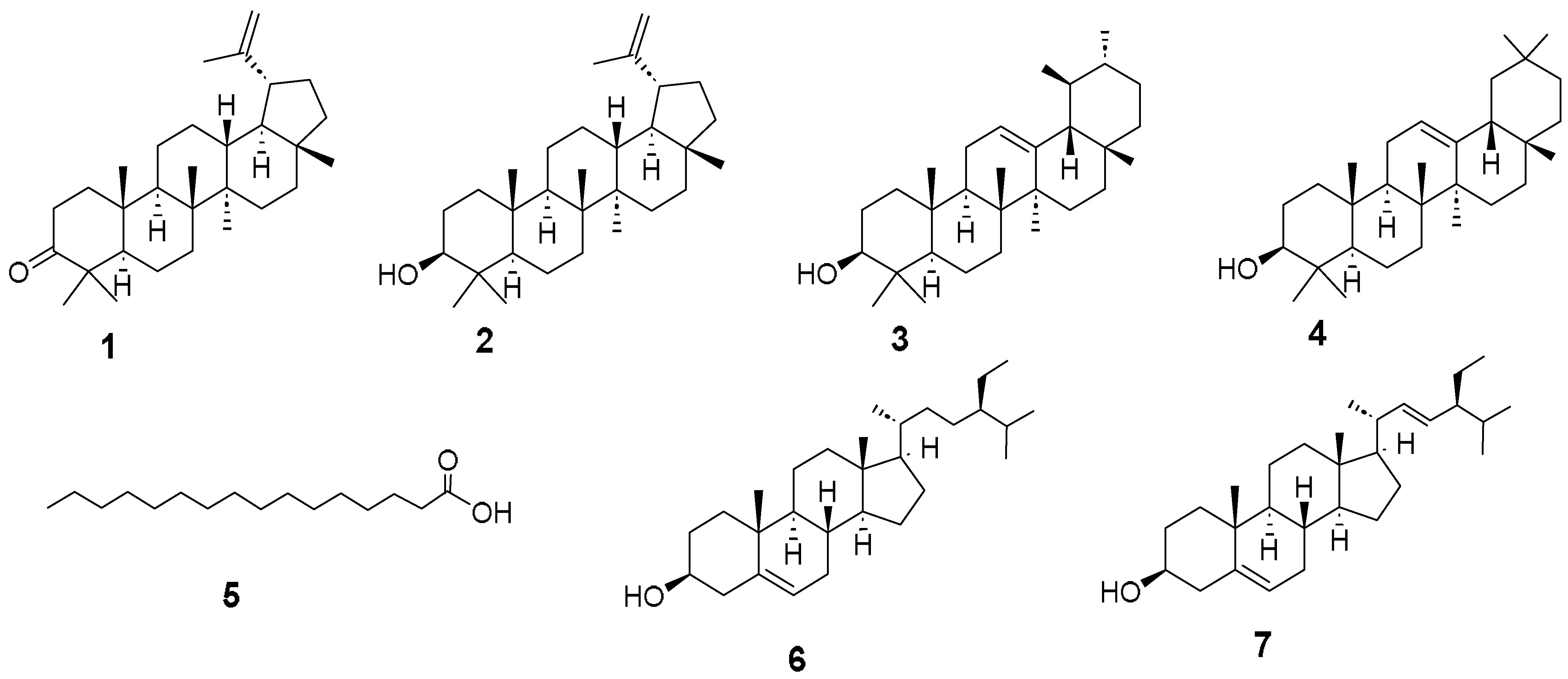 Pharmaceuticals 17 00890 g001 Pharmaceuticals 17 00890 g001