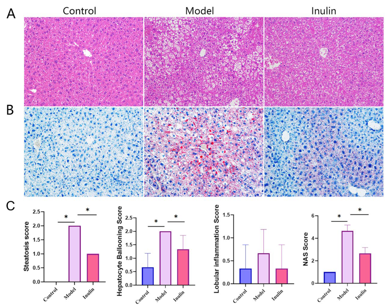 Pharmaceuticals 17 00895 g002