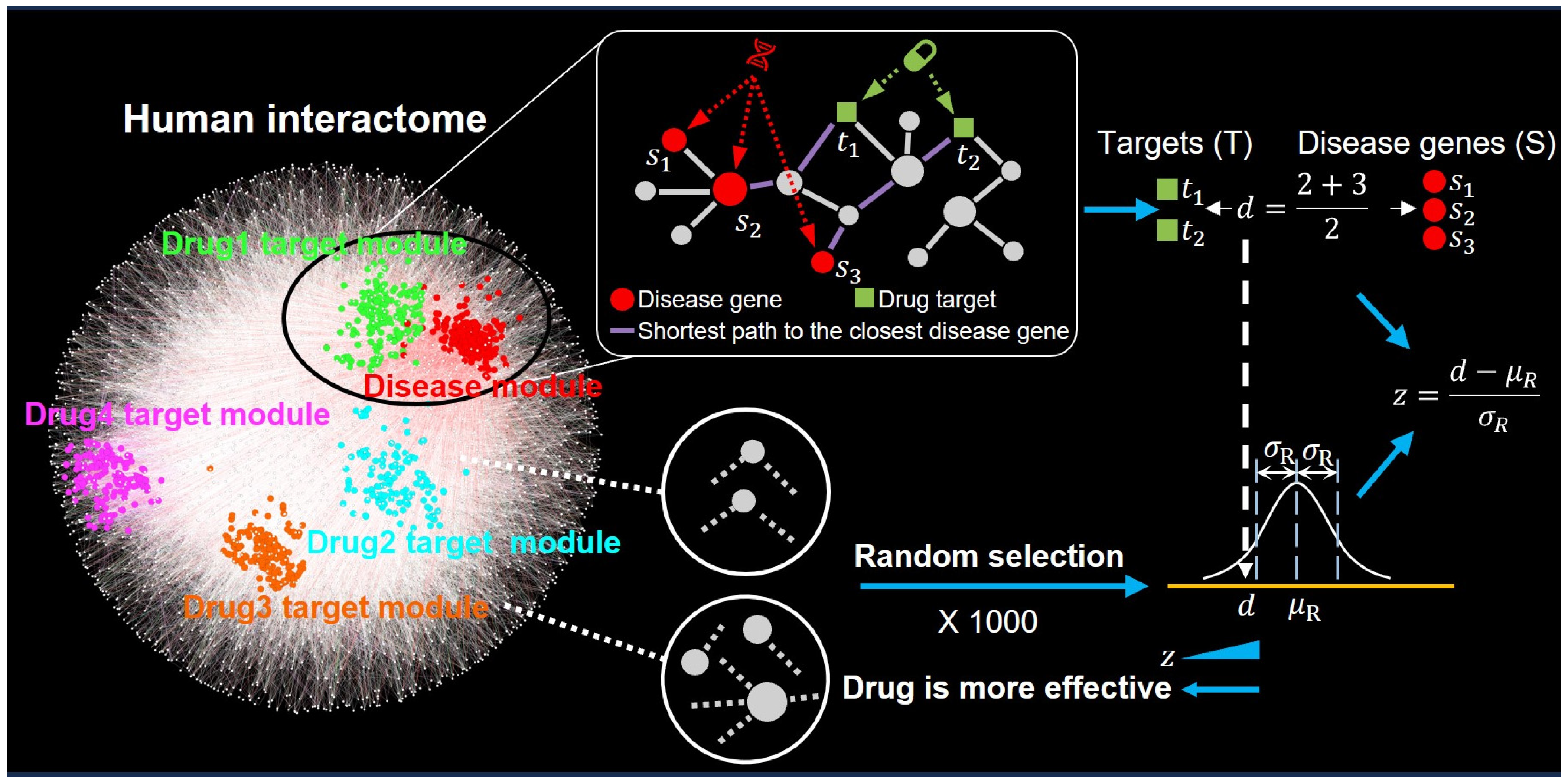 Pharmaceuticals 17 00899 g001