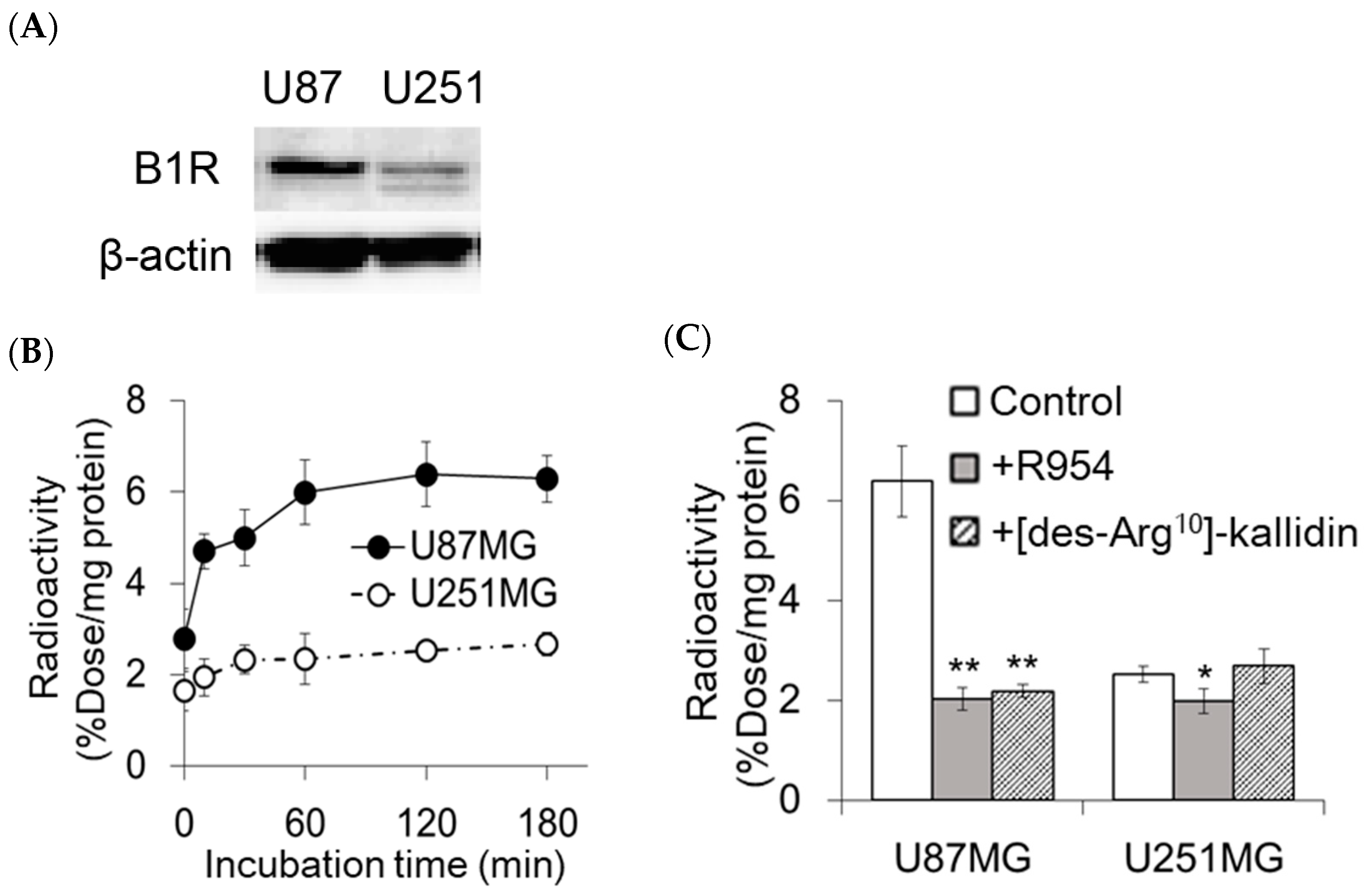 Pharmaceuticals 17 00902 g002