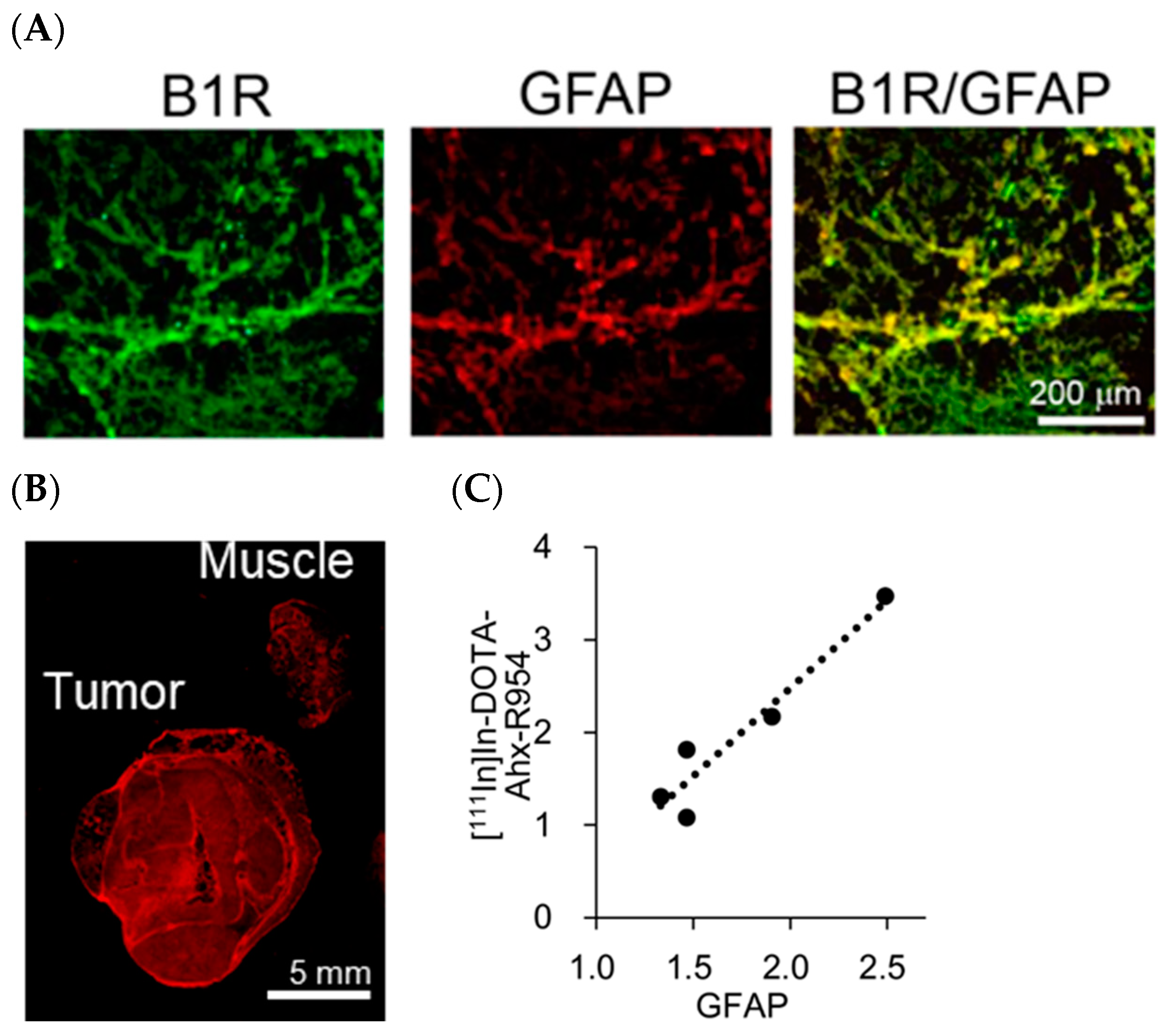 Pharmaceuticals 17 00902 g005