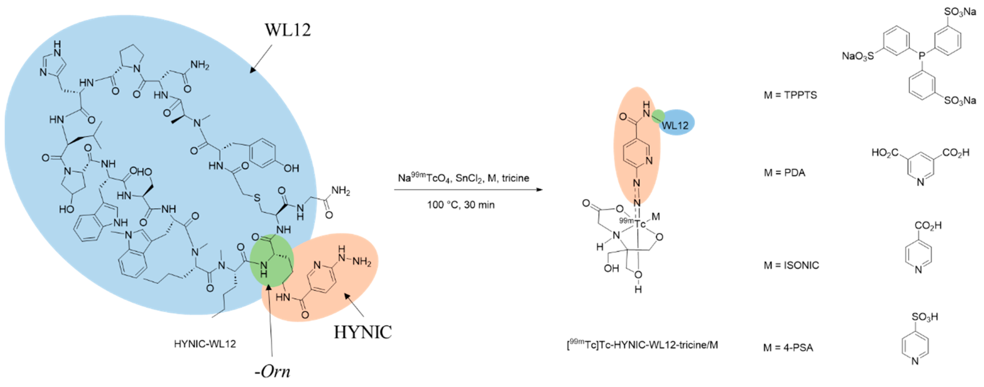 Pharmaceuticals 17 00906 sch001 Pharmaceuticals 17 00906 sch001