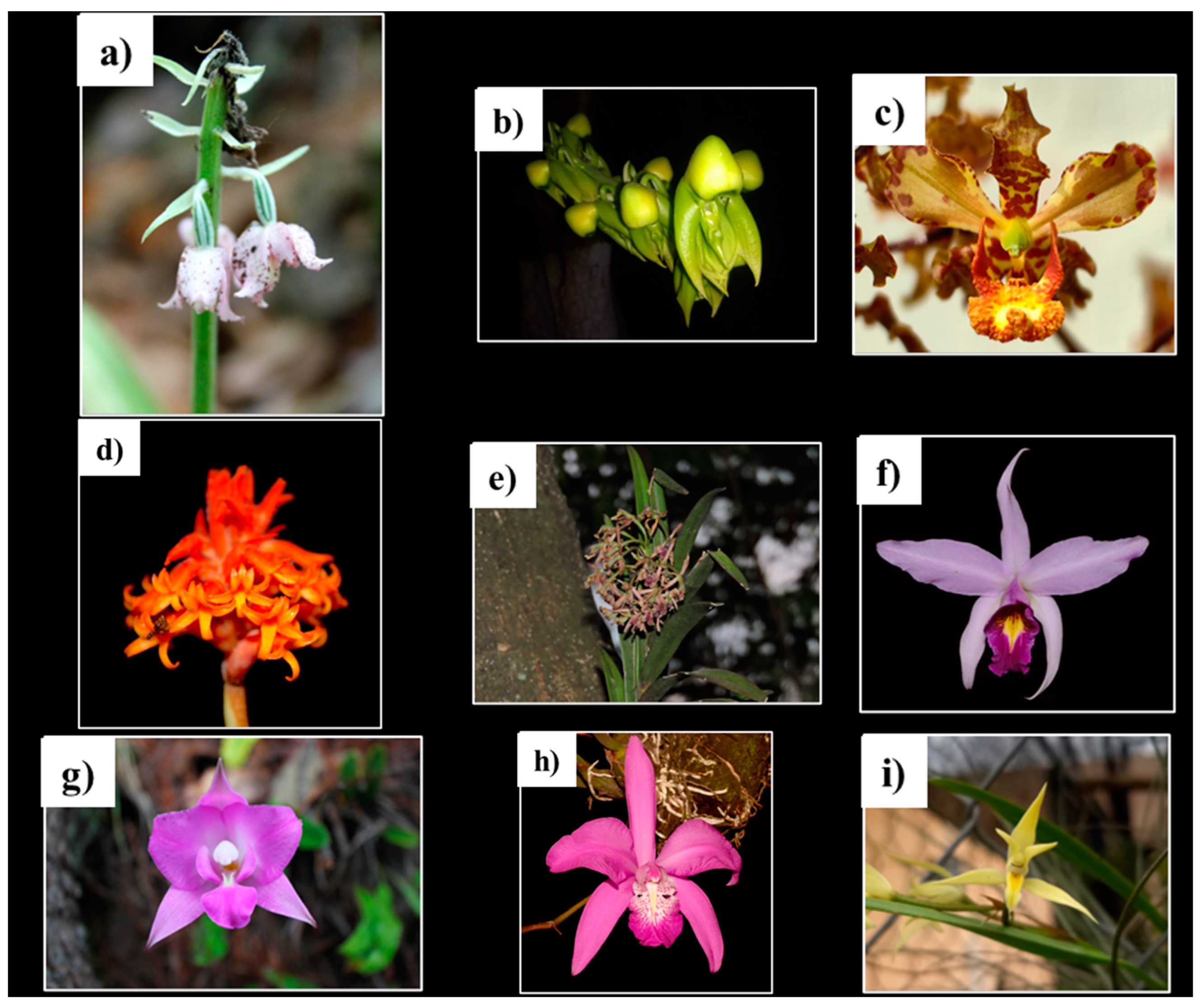 Pharmaceuticals 17 00907 g003a