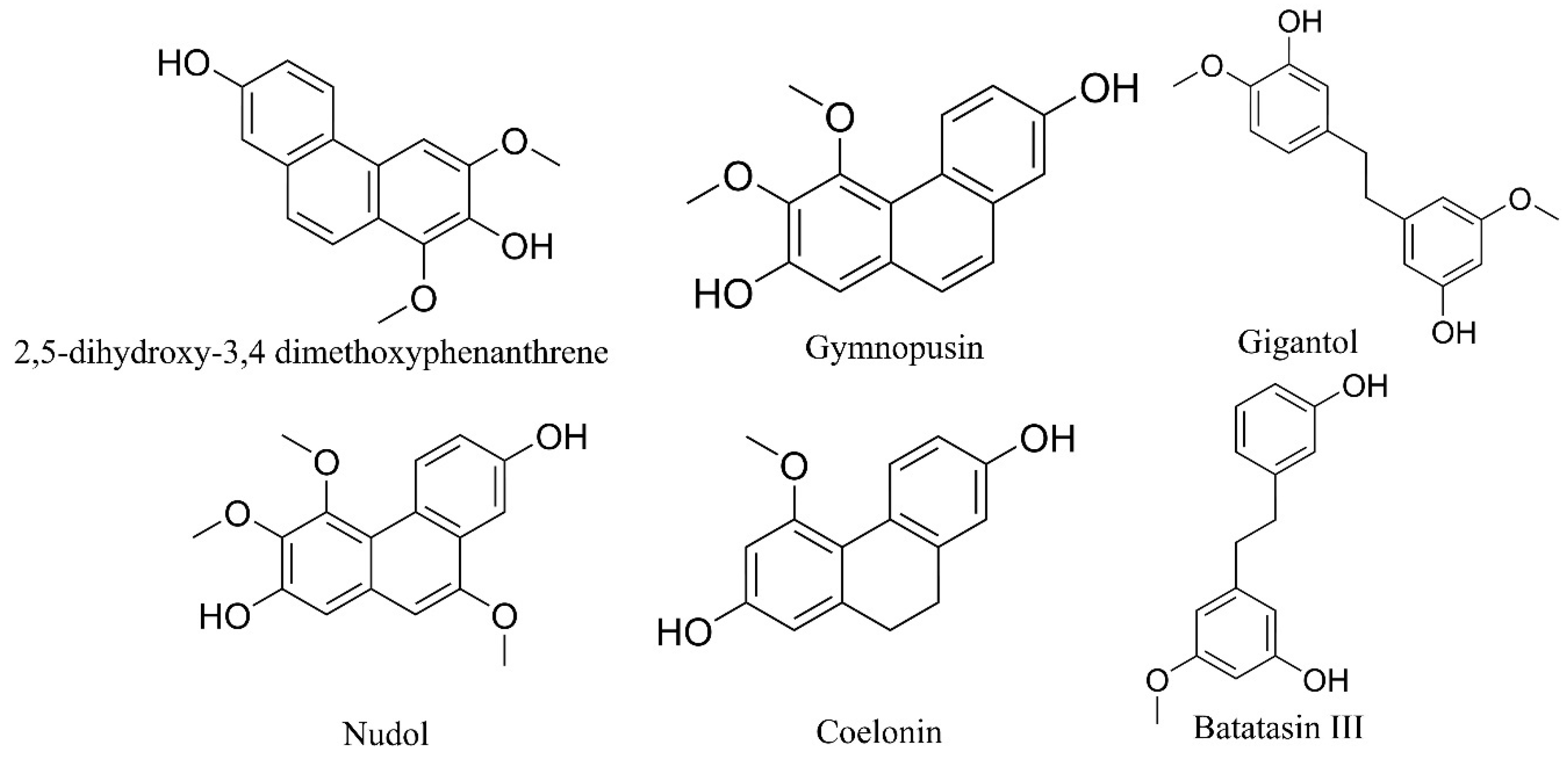 Pharmaceuticals 17 00907 g005