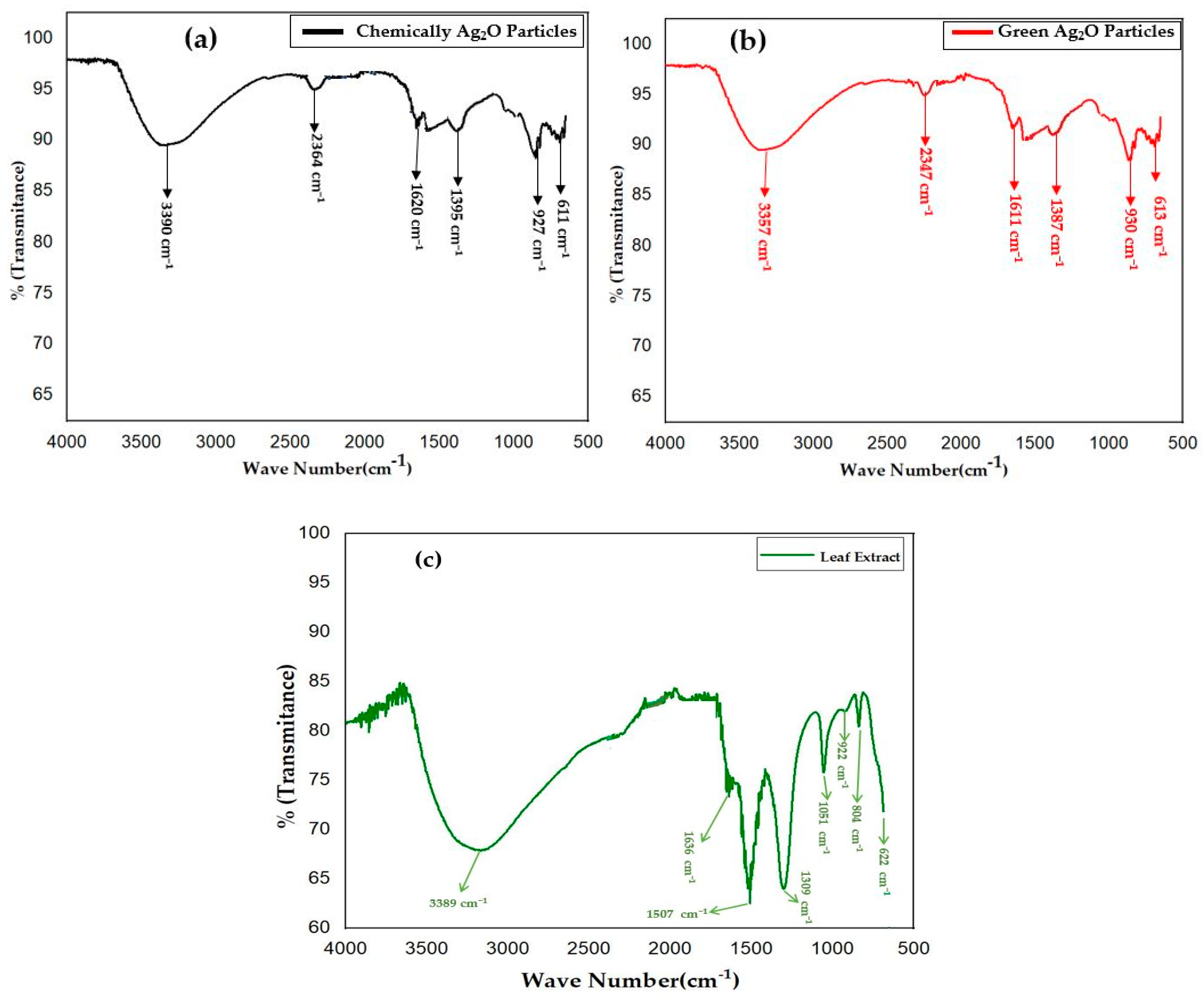 Pharmaceuticals 17 00908 g002
