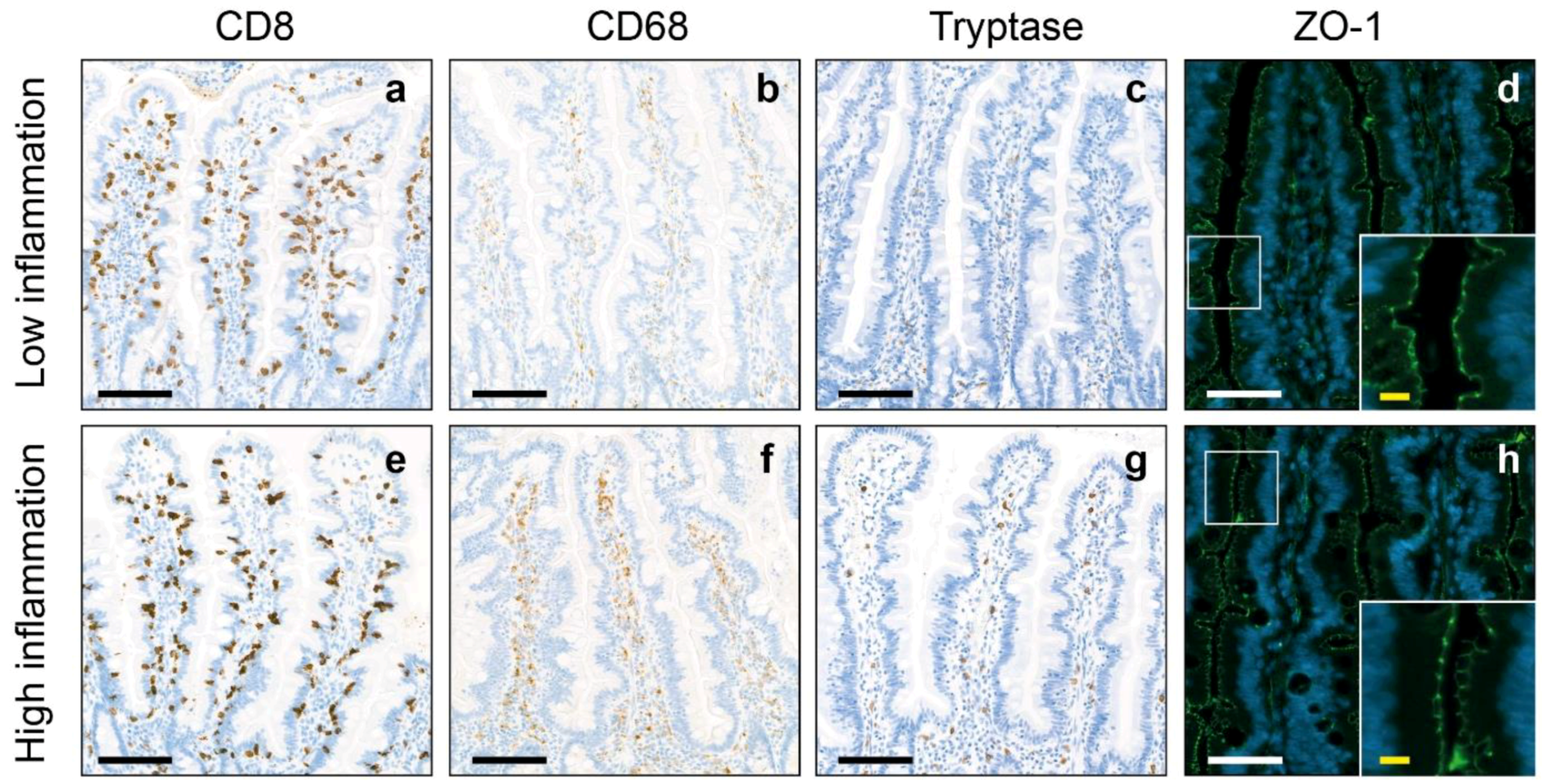 Pharmaceuticals 17 00918 g001