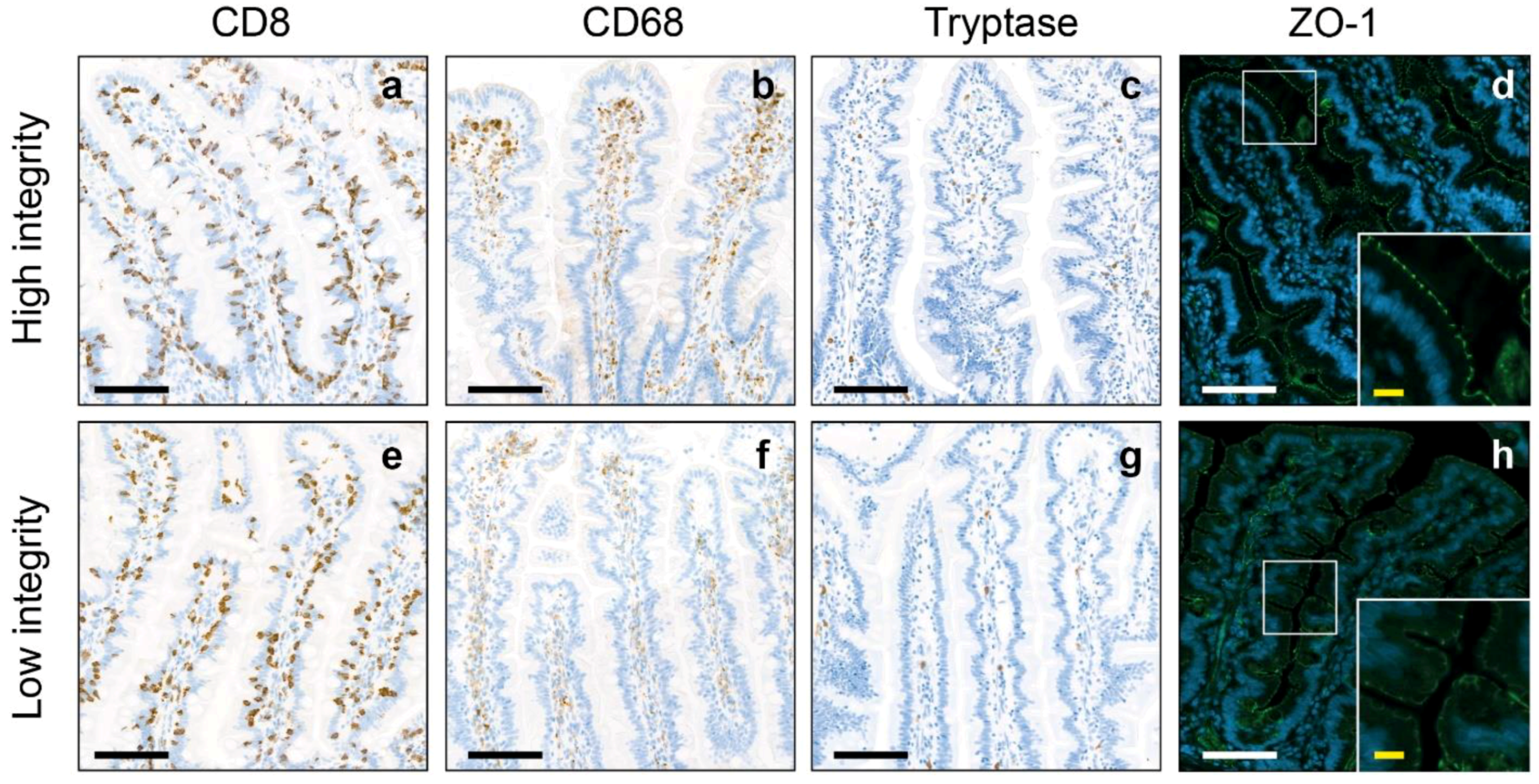Pharmaceuticals 17 00918 g002