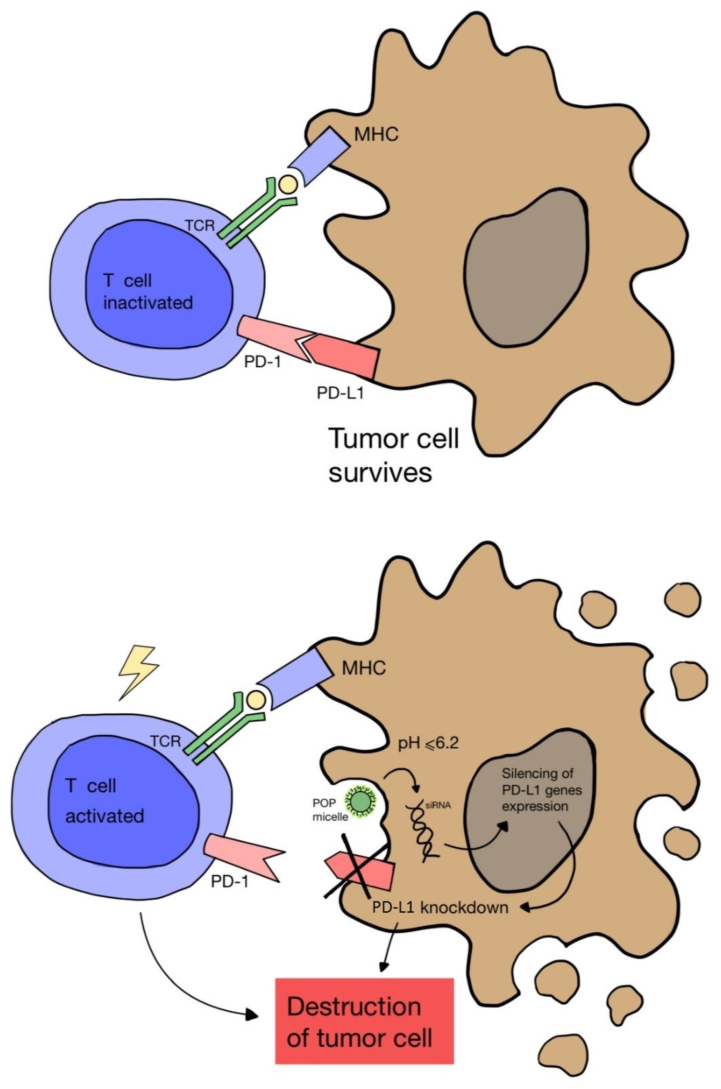 Pharmaceuticals 17 00932 g004