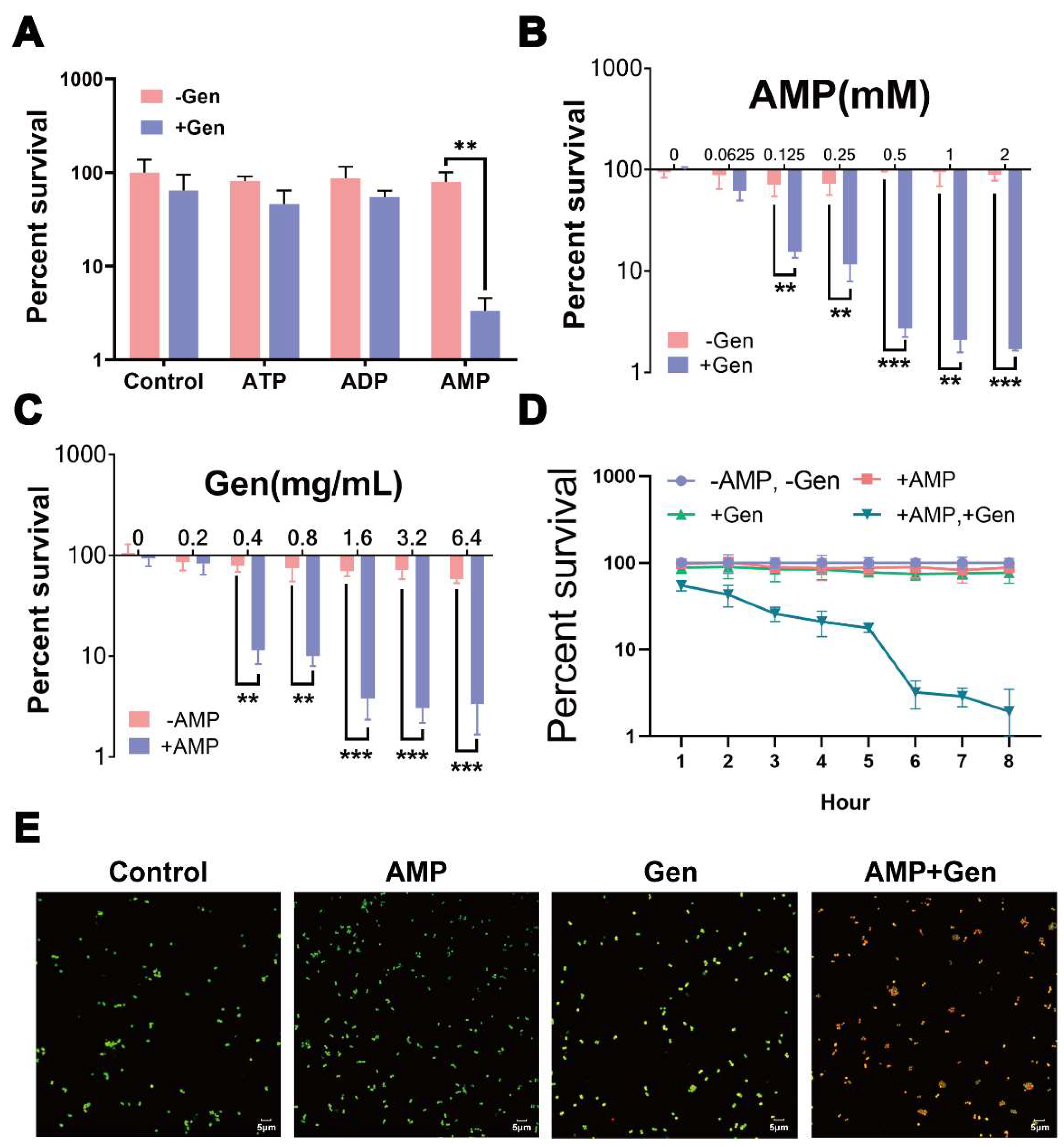 Pharmaceuticals 17 00933 g001