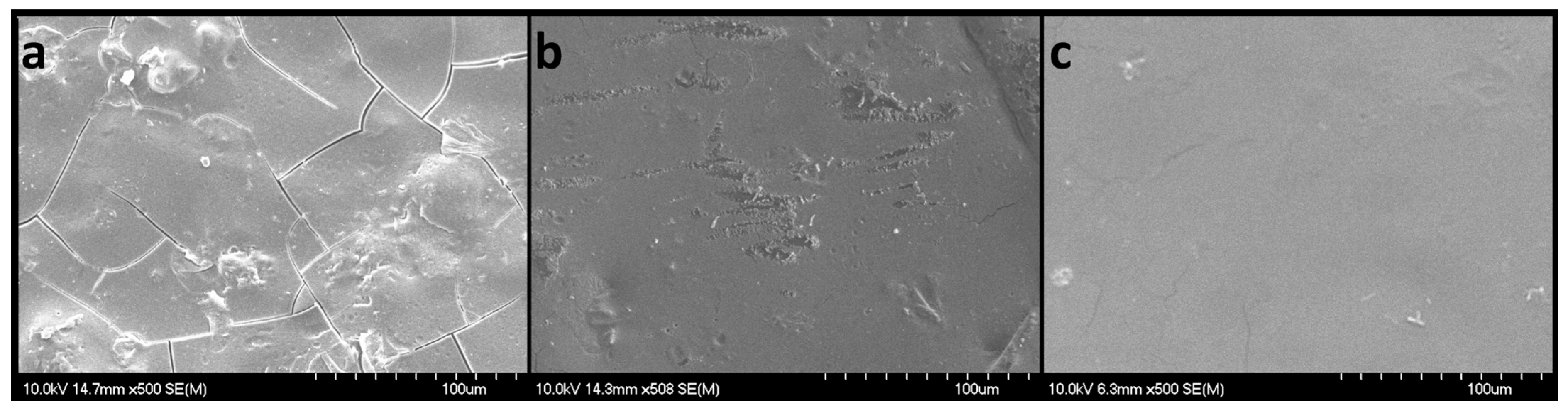 Pharmaceuticals 17 00934 g009