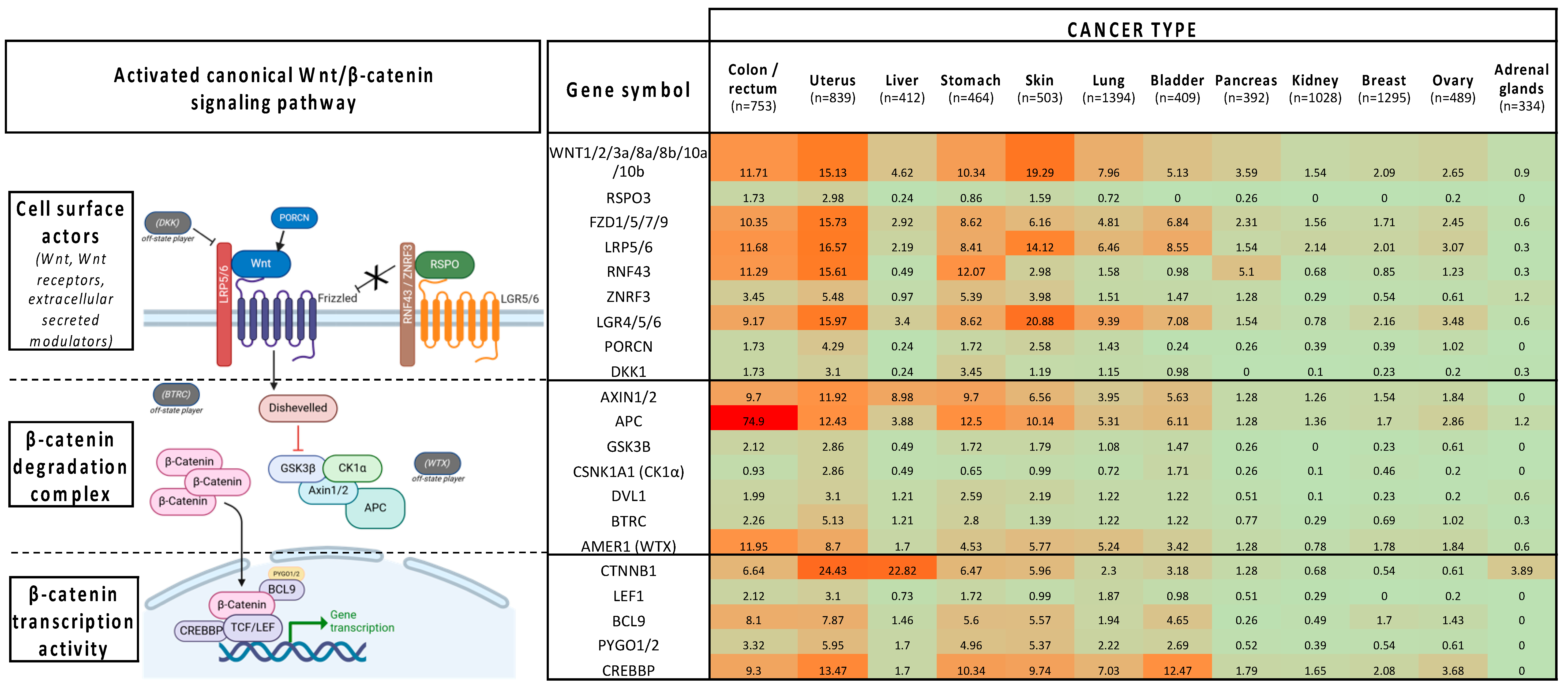 Pharmaceuticals 17 00949 g001