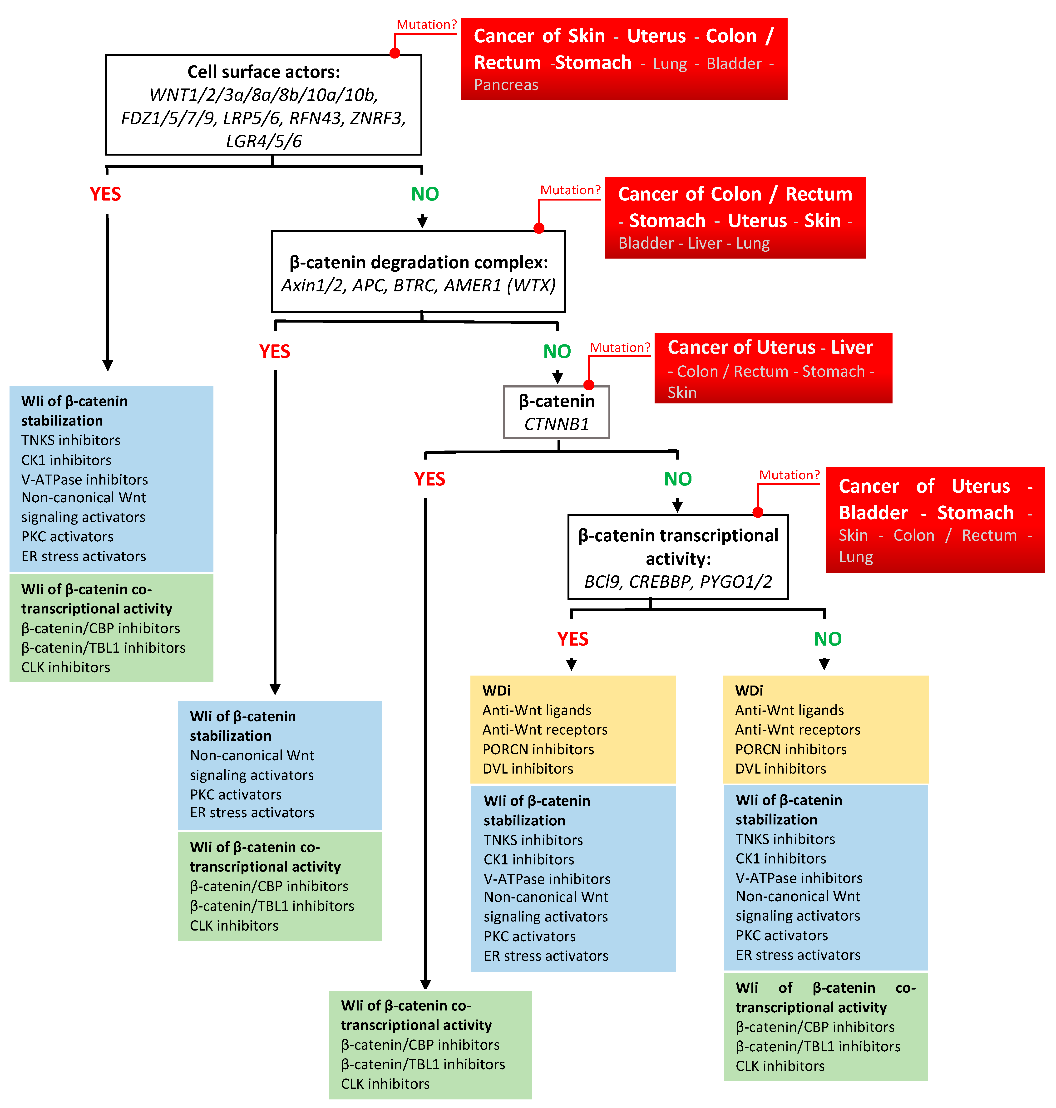 Pharmaceuticals 17 00949 g002