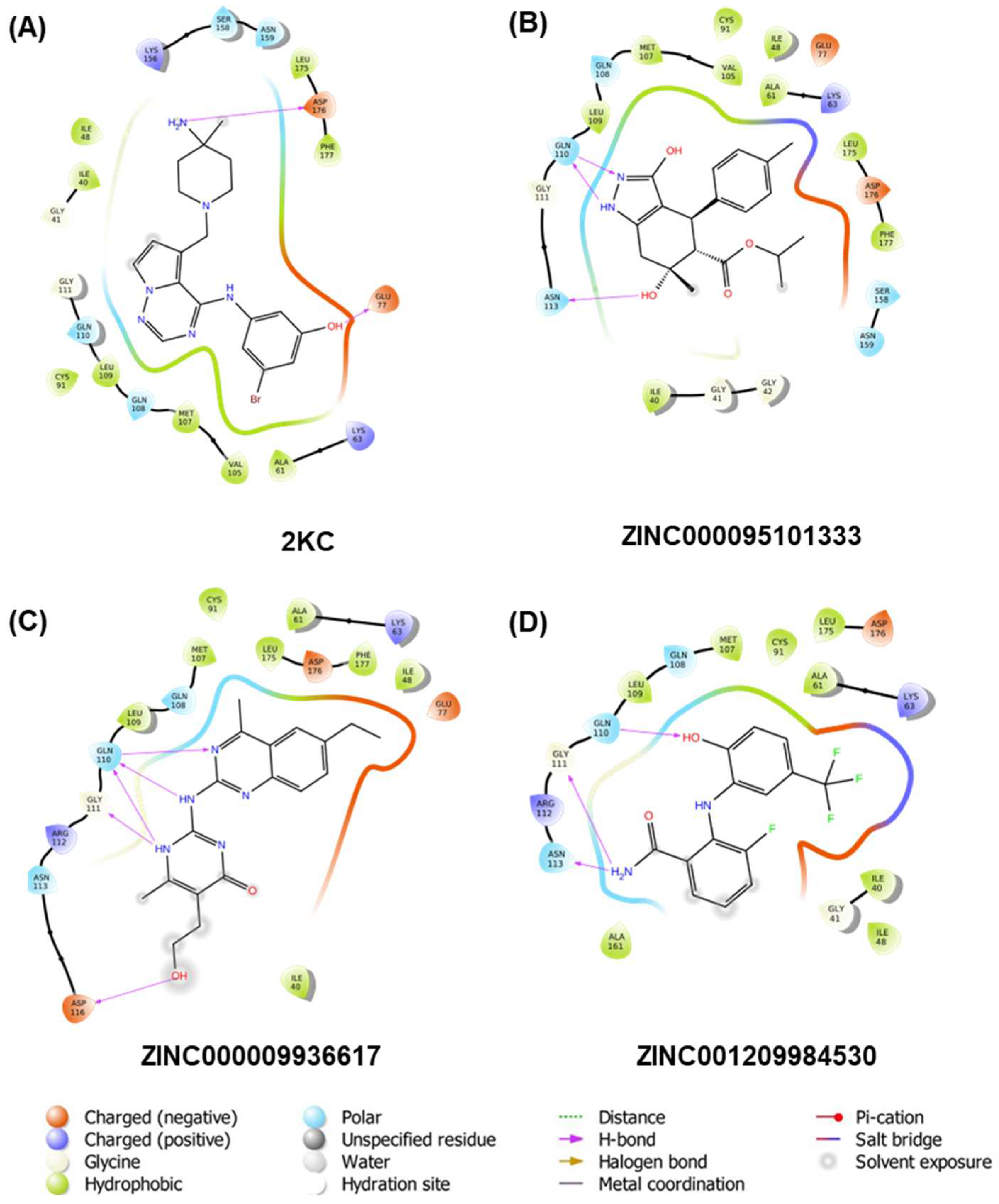 Pharmaceuticals 17 00952 g002