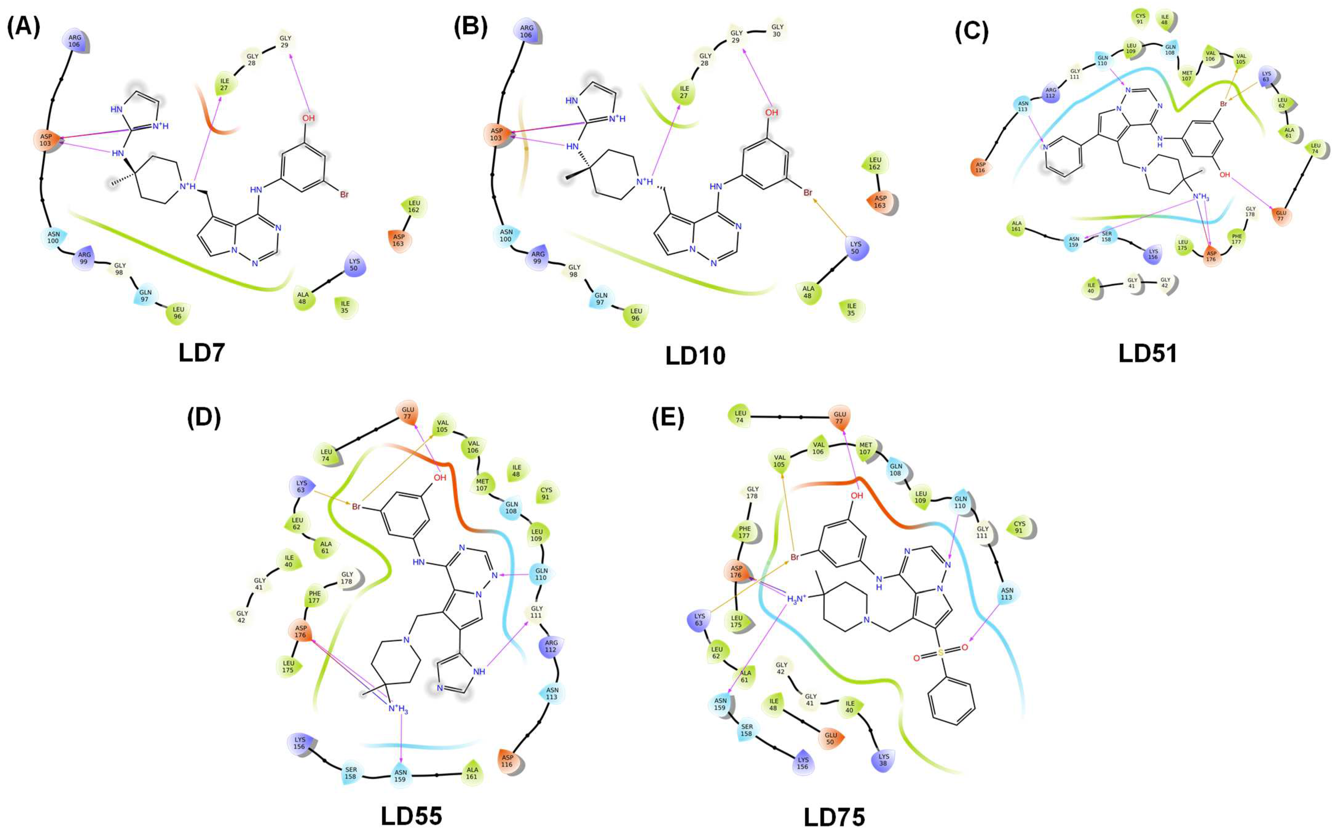 Pharmaceuticals 17 00952 g004
