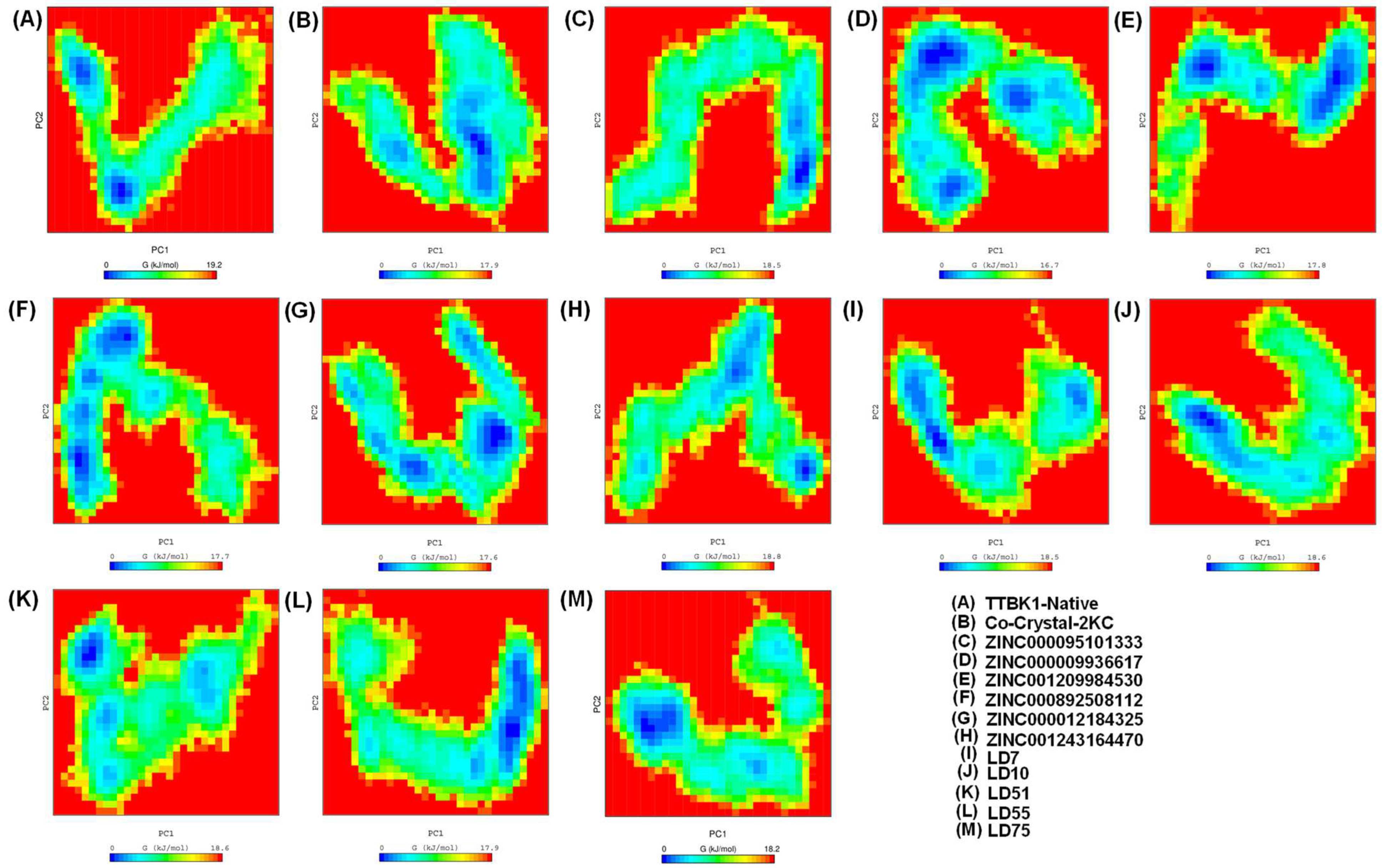 Pharmaceuticals 17 00952 g007