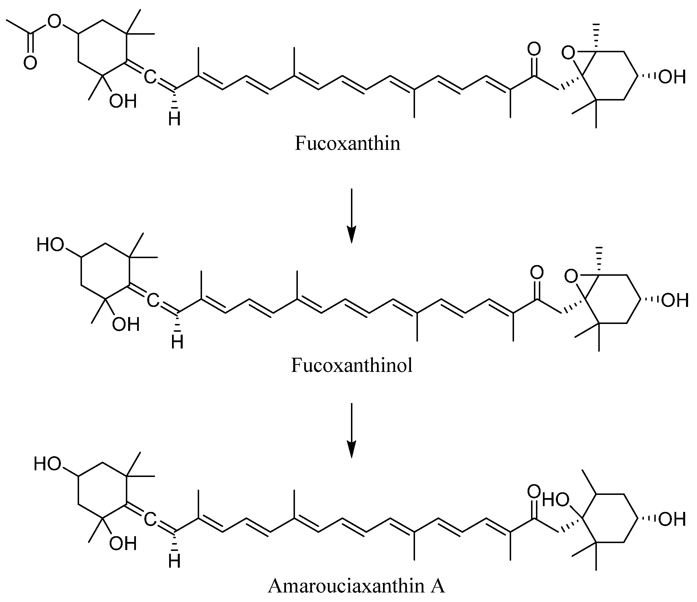 Pharmaceuticals 17 00960 g003