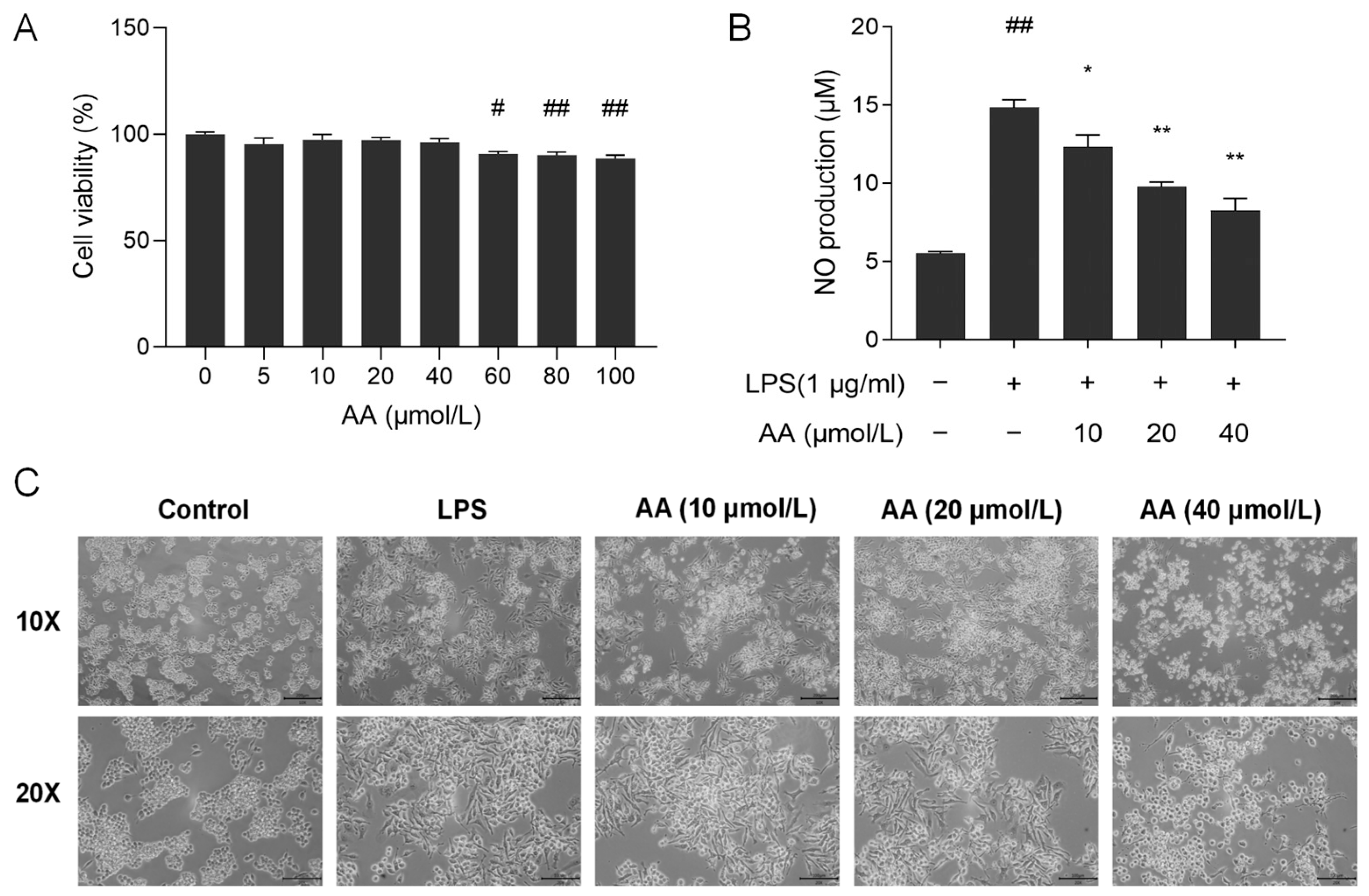 Pharmaceuticals 17 00969 g008