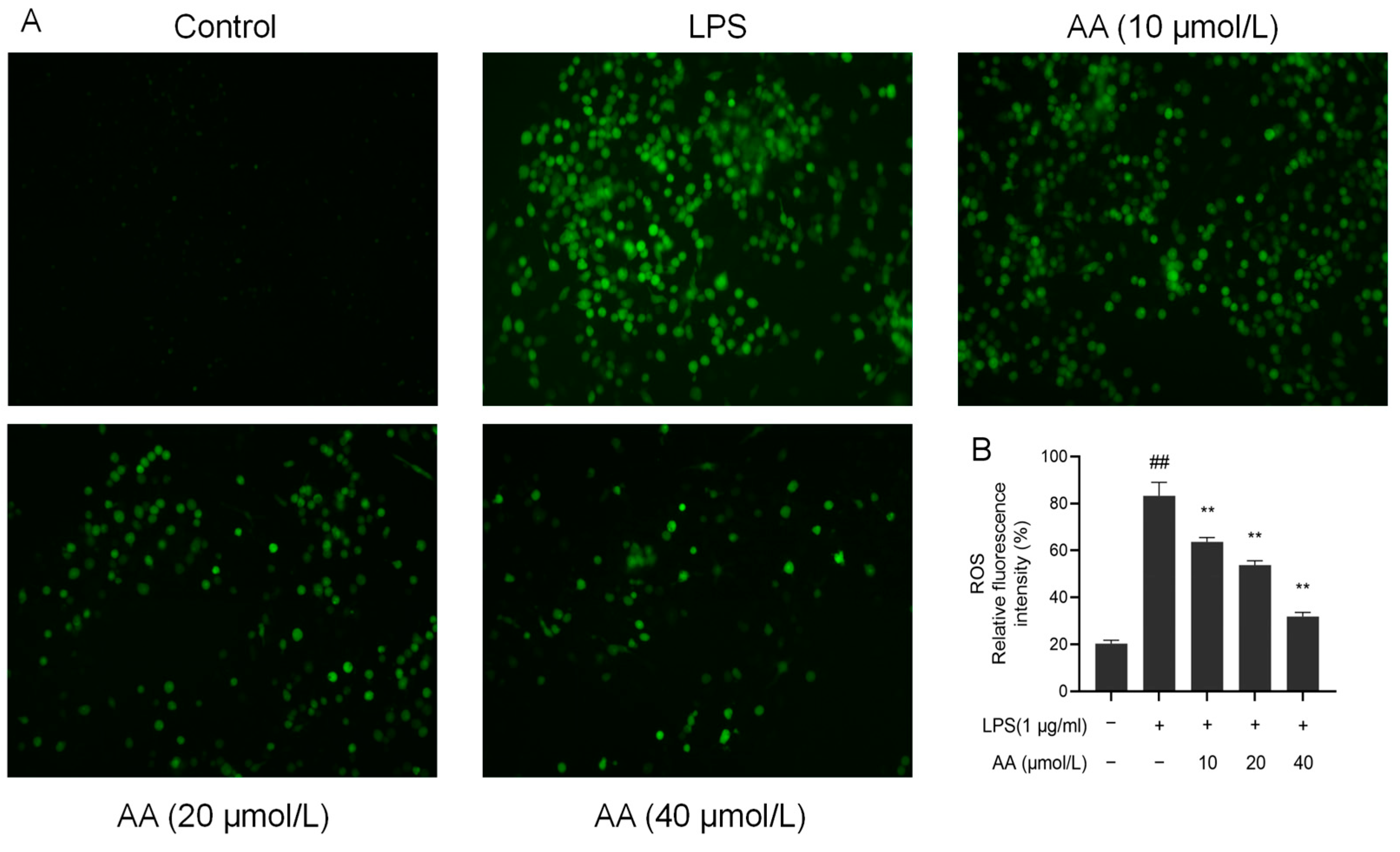 Pharmaceuticals 17 00969 g009