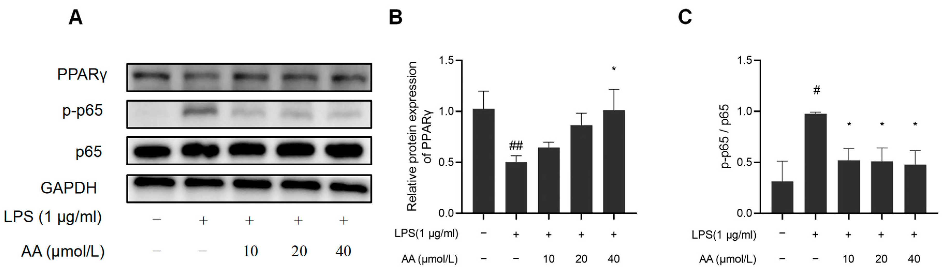 Pharmaceuticals 17 00969 g011