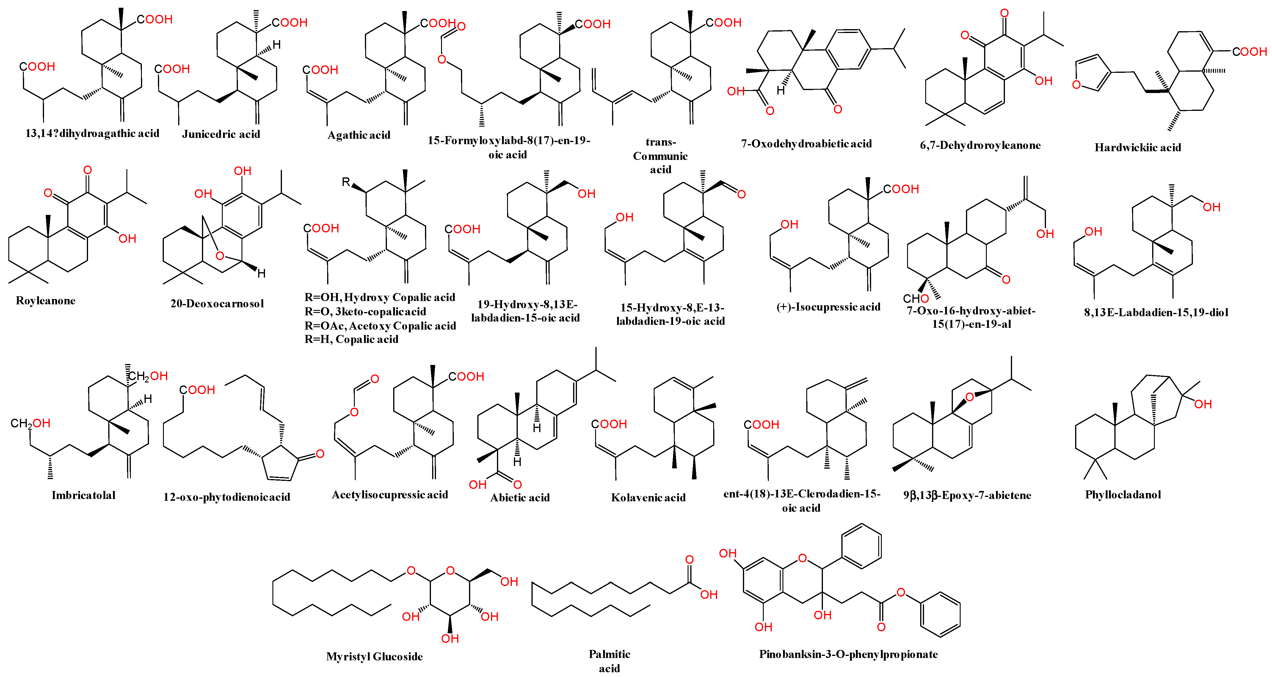 Pharmaceuticals 17 00970 g002