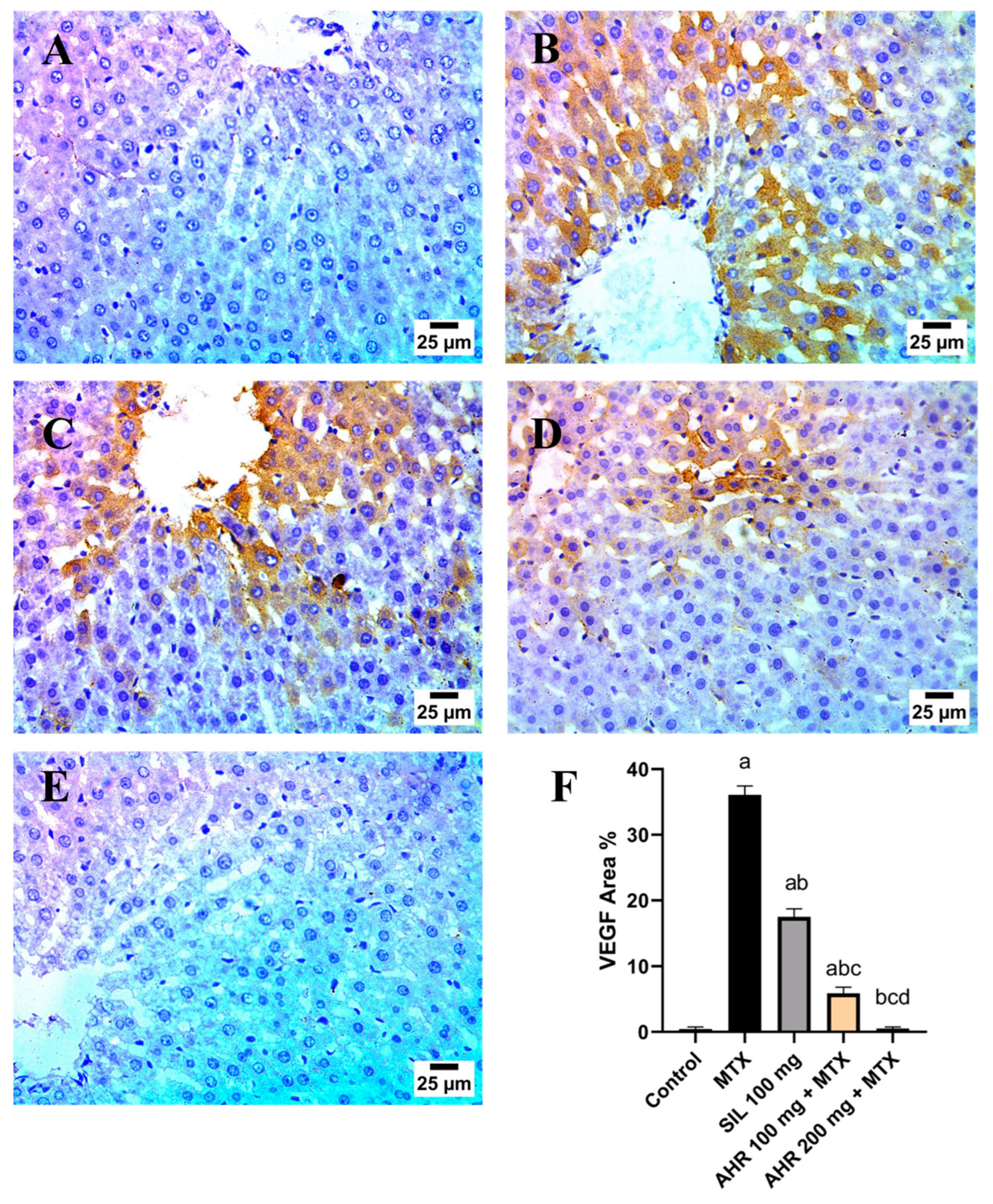 Pharmaceuticals 17 00970 g010
