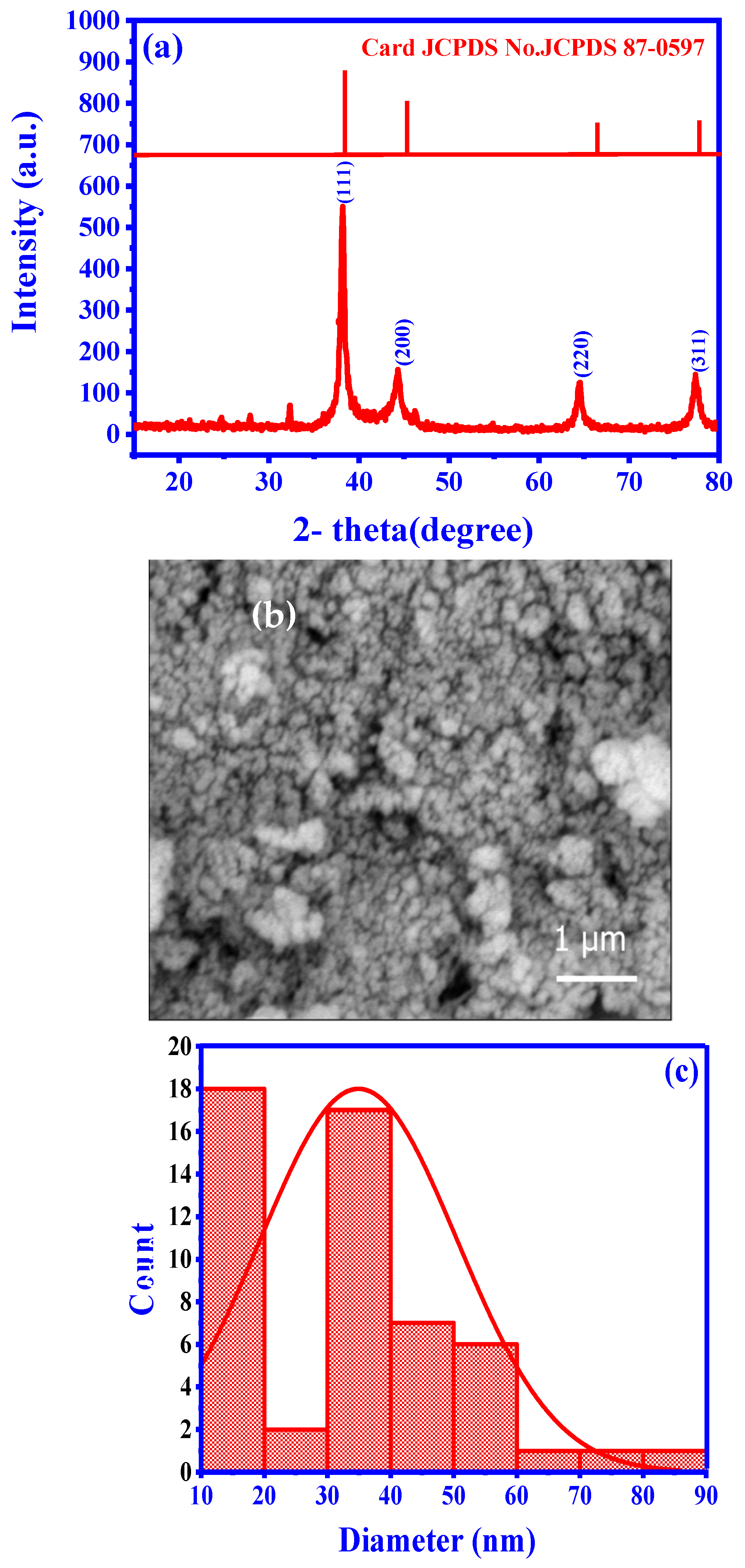Pharmaceuticals 17 00982 g002