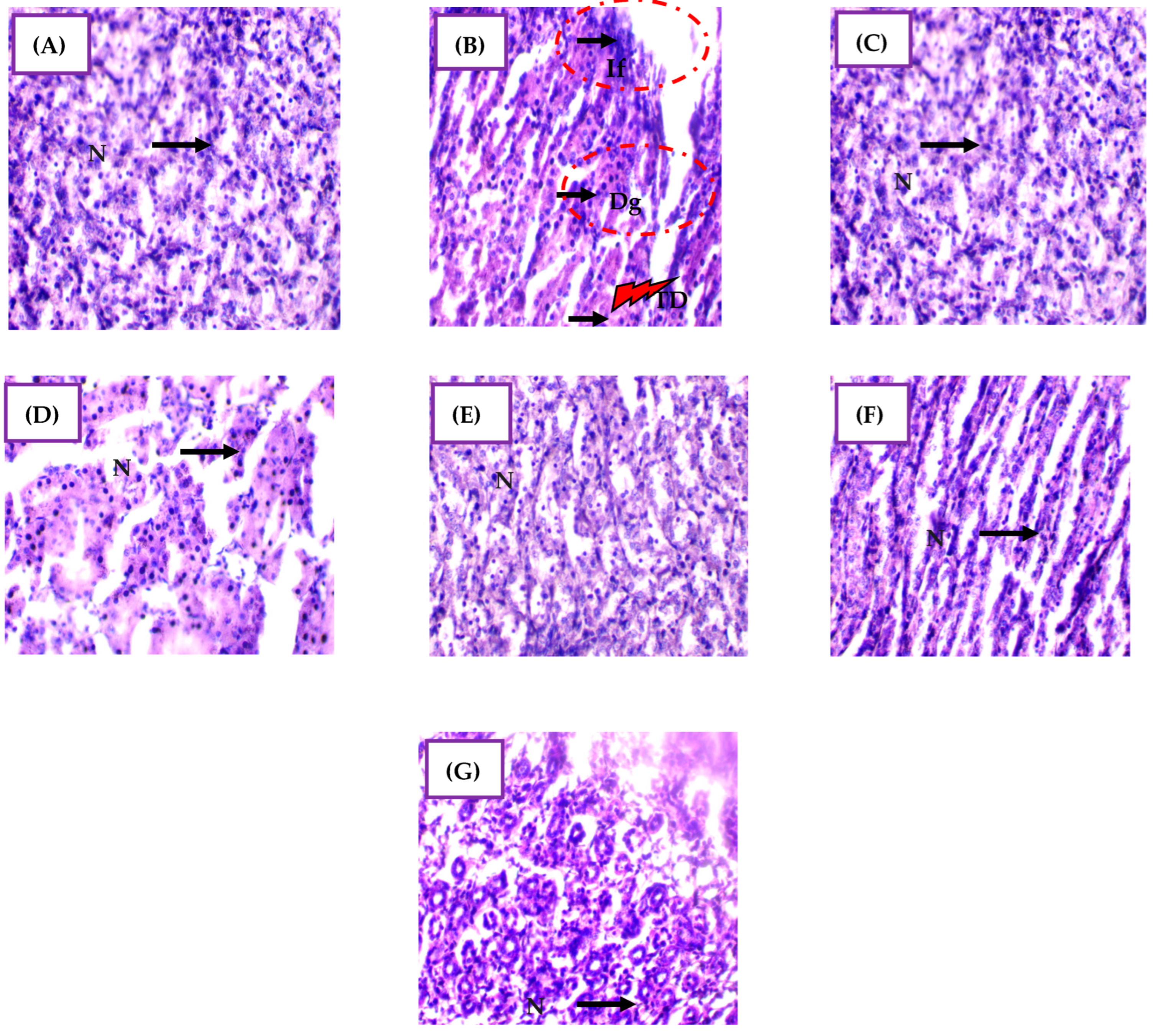 Pharmaceuticals 17 00982 g007