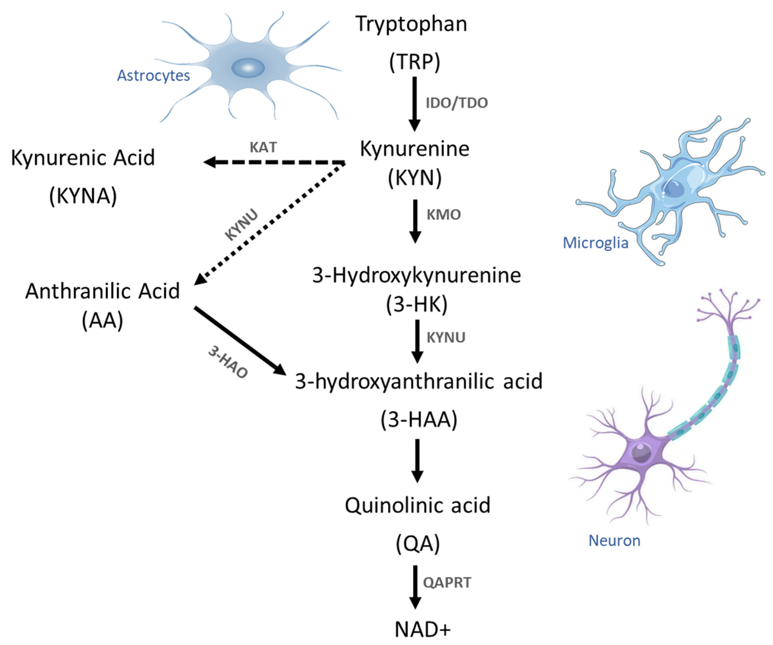 Pharmaceuticals 17 00983 g002