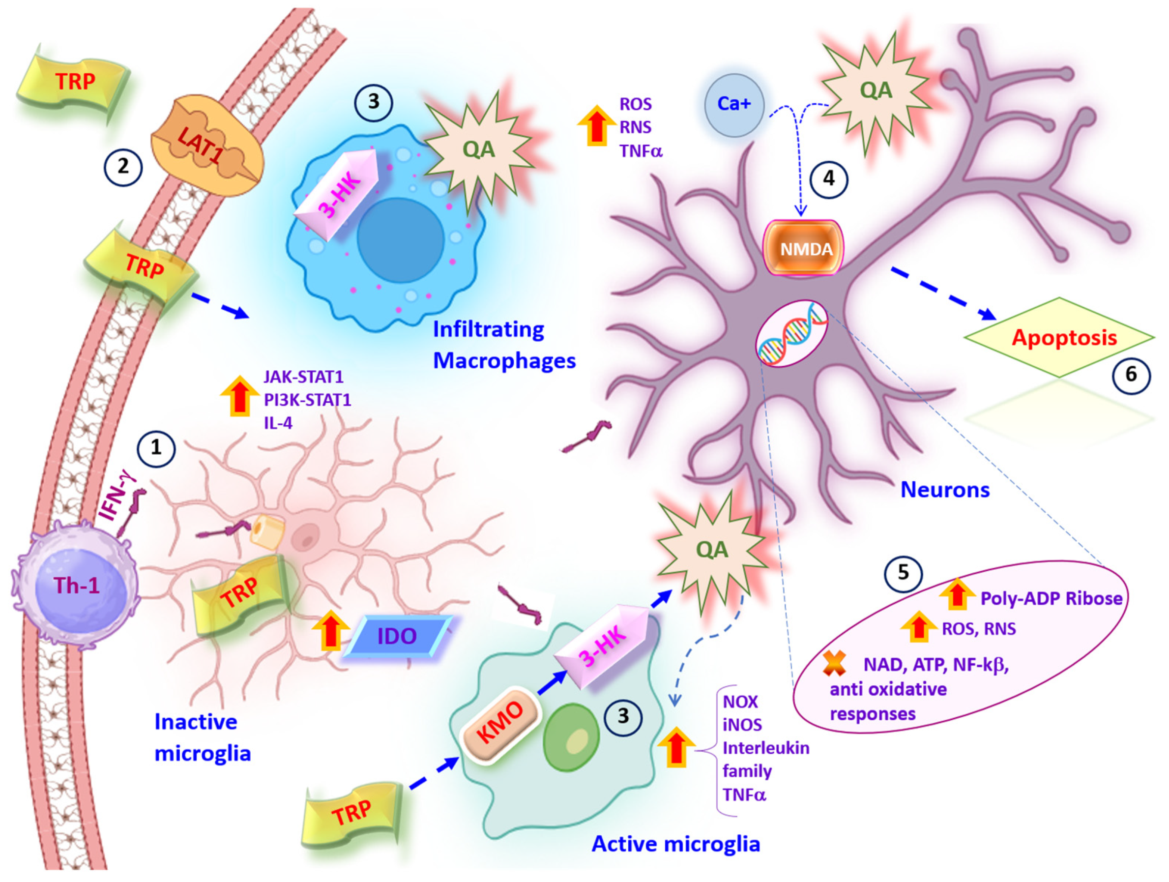 Pharmaceuticals 17 00983 g004