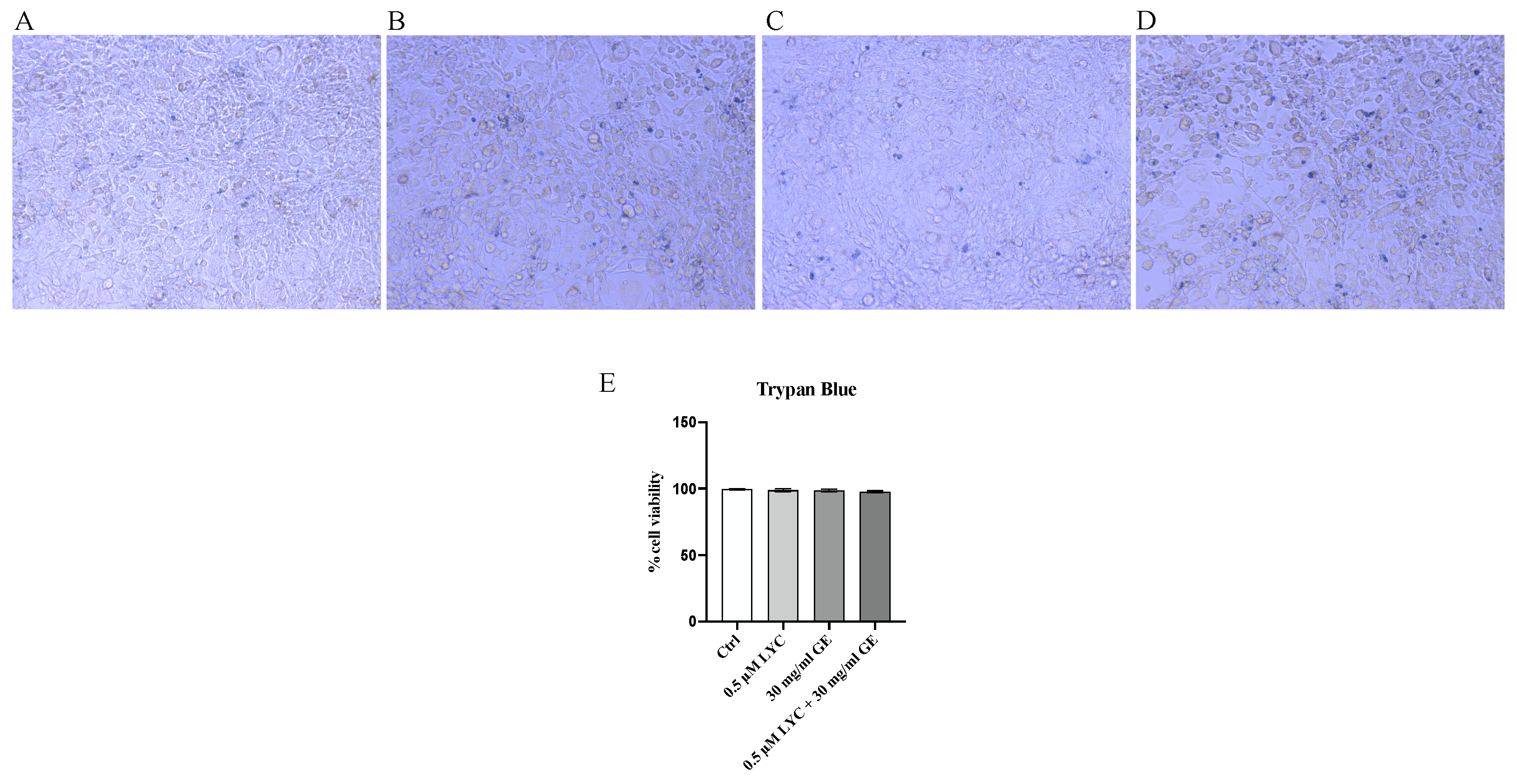 Pharmaceuticals 17 00986 g001