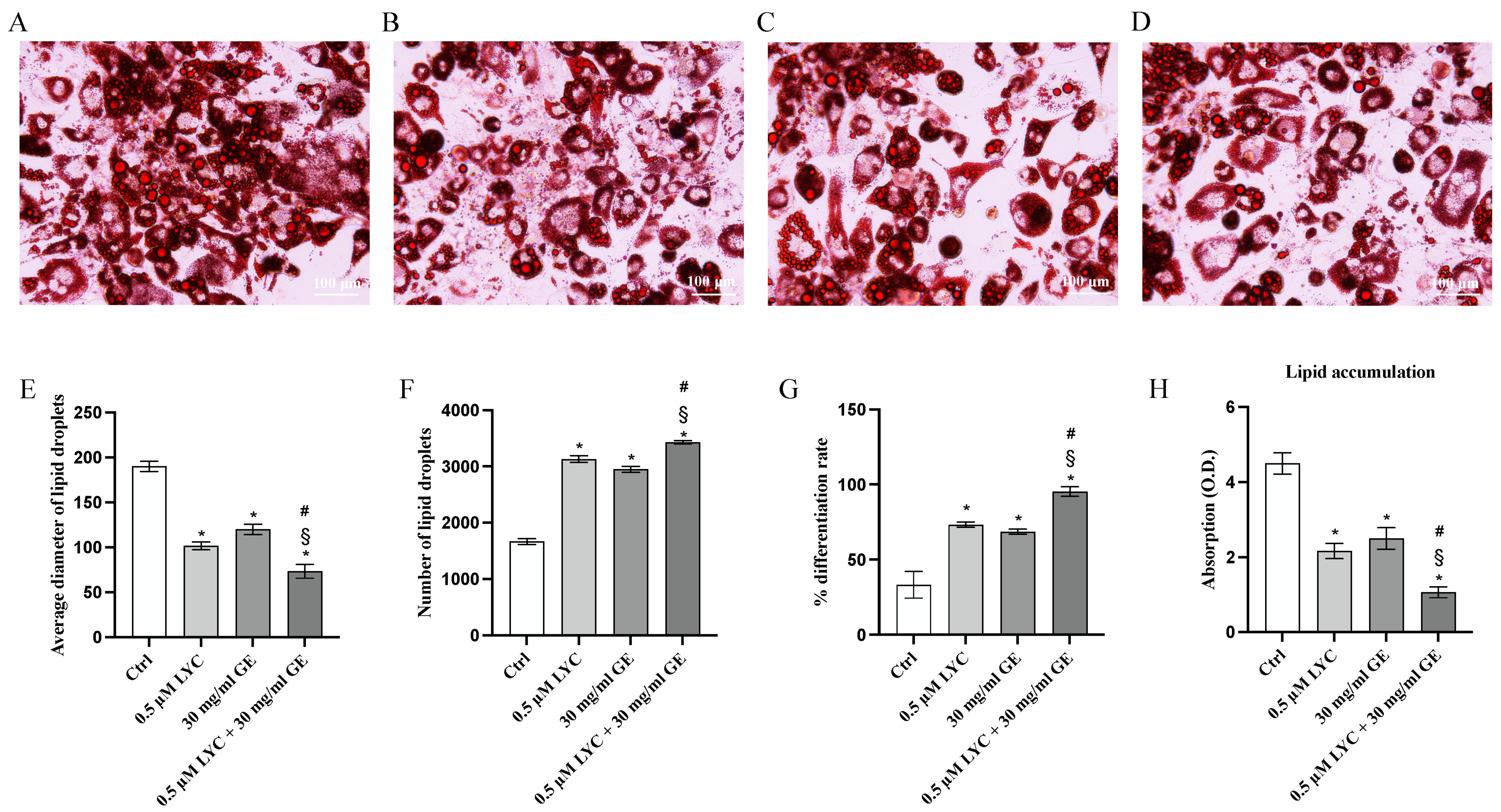Pharmaceuticals 17 00986 g003