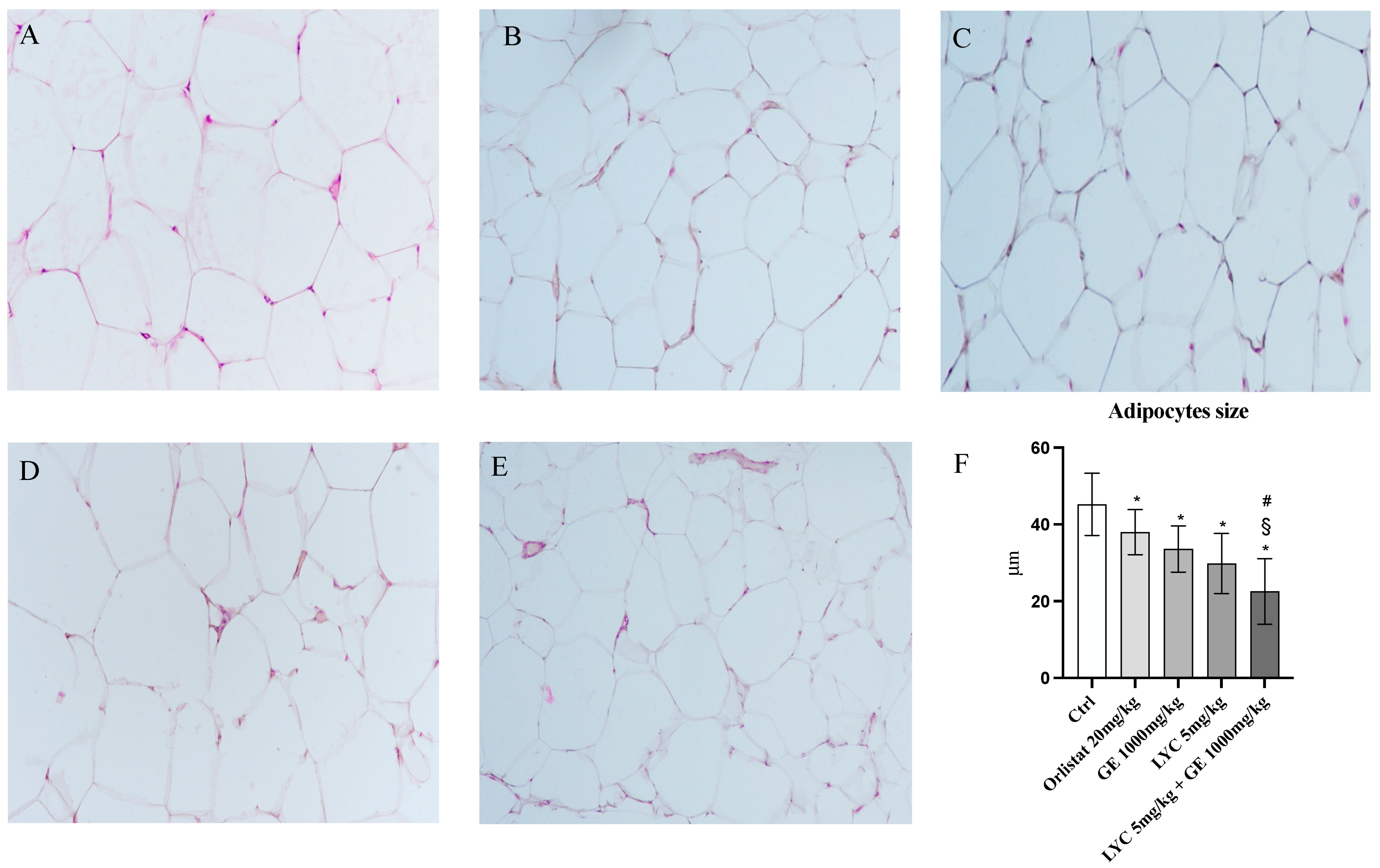 Pharmaceuticals 17 00986 g006