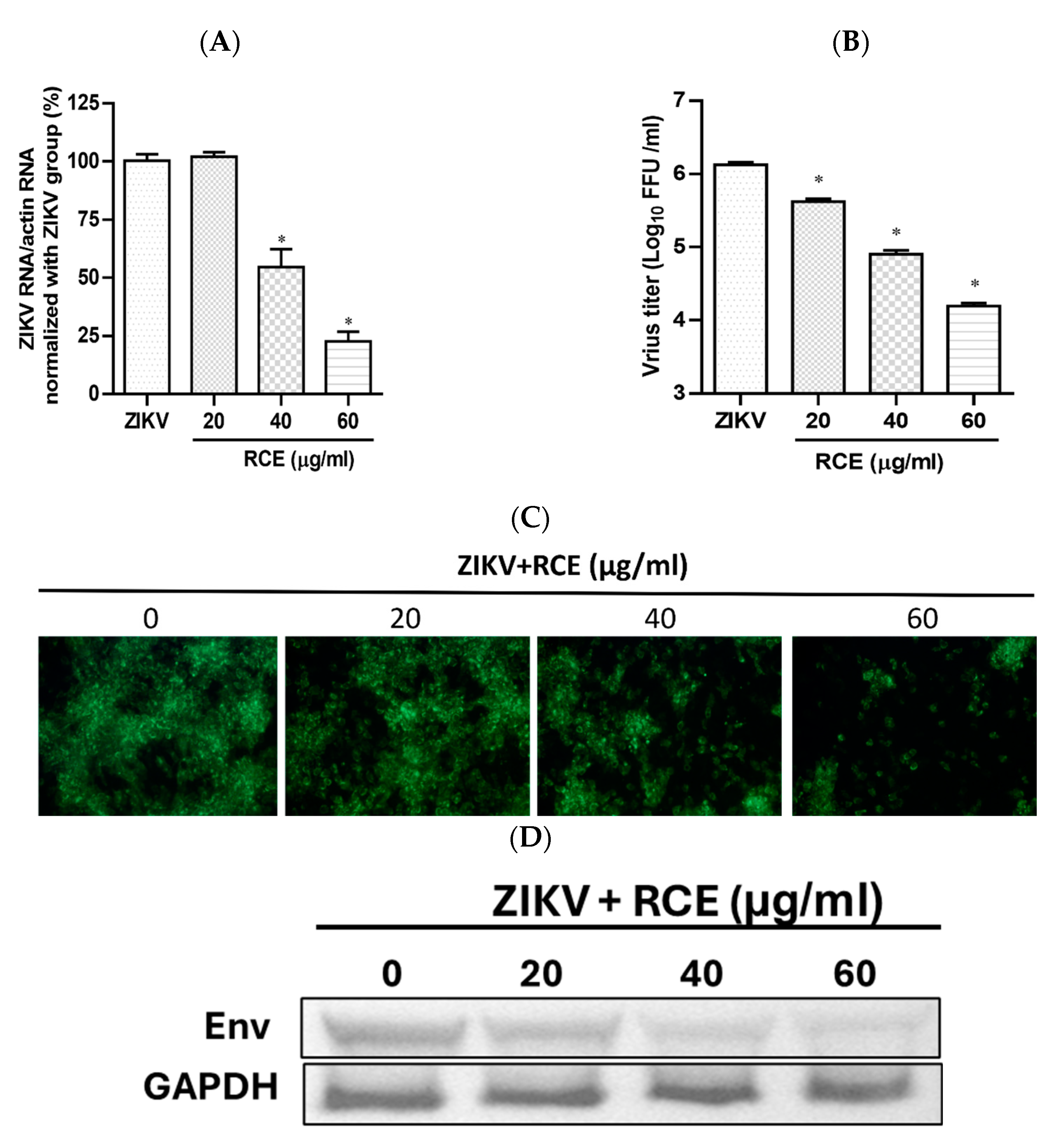 Pharmaceuticals 17 00988 g002