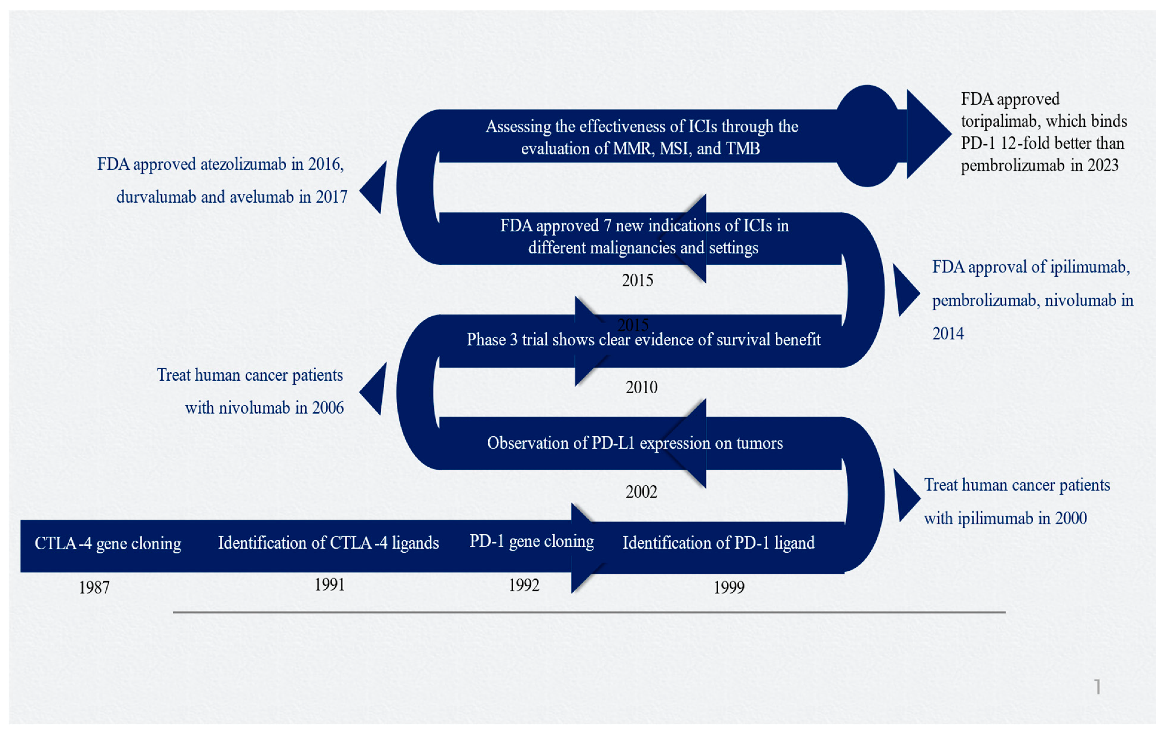 Pharmaceuticals 17 00991 g001