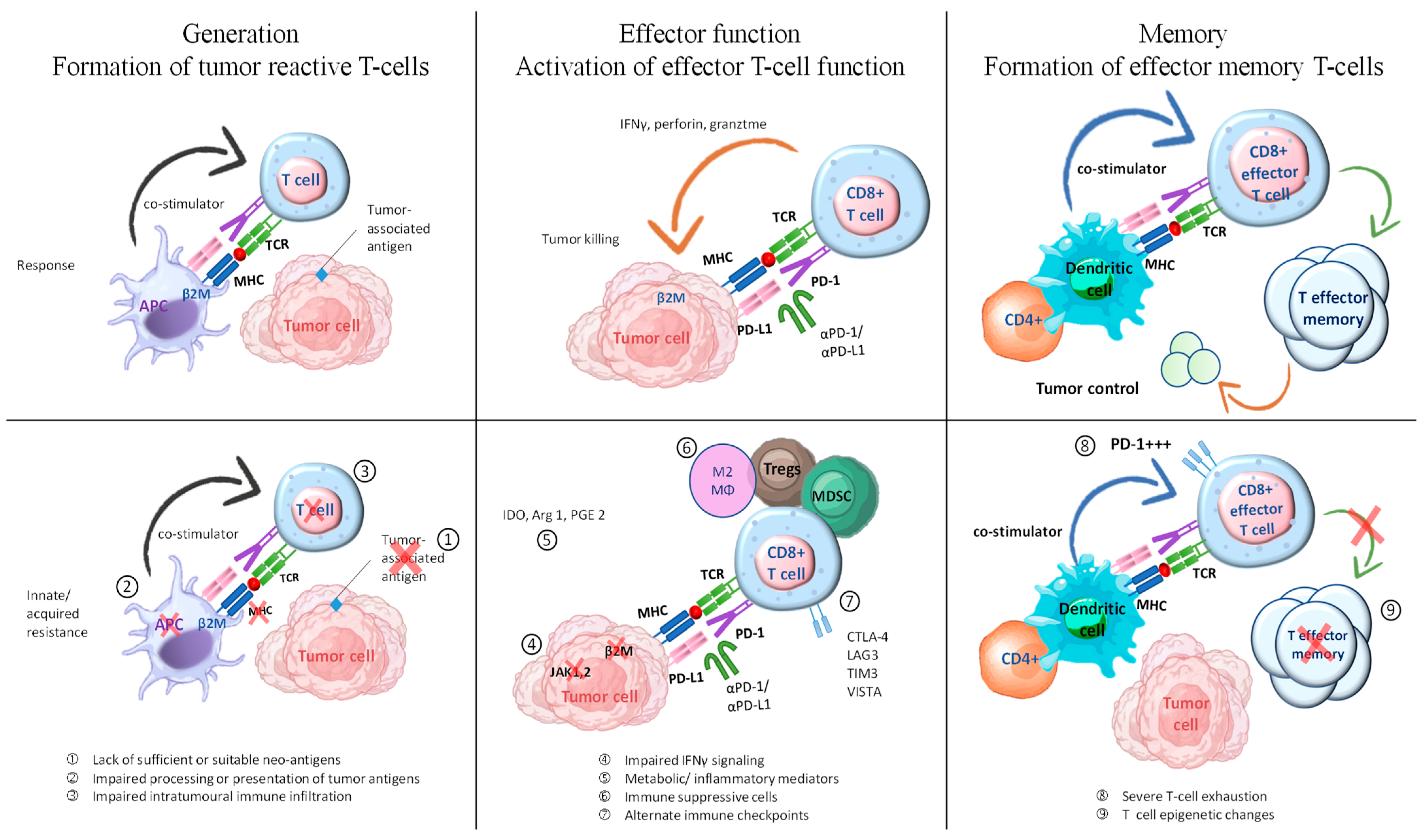 Pharmaceuticals 17 00991 g004