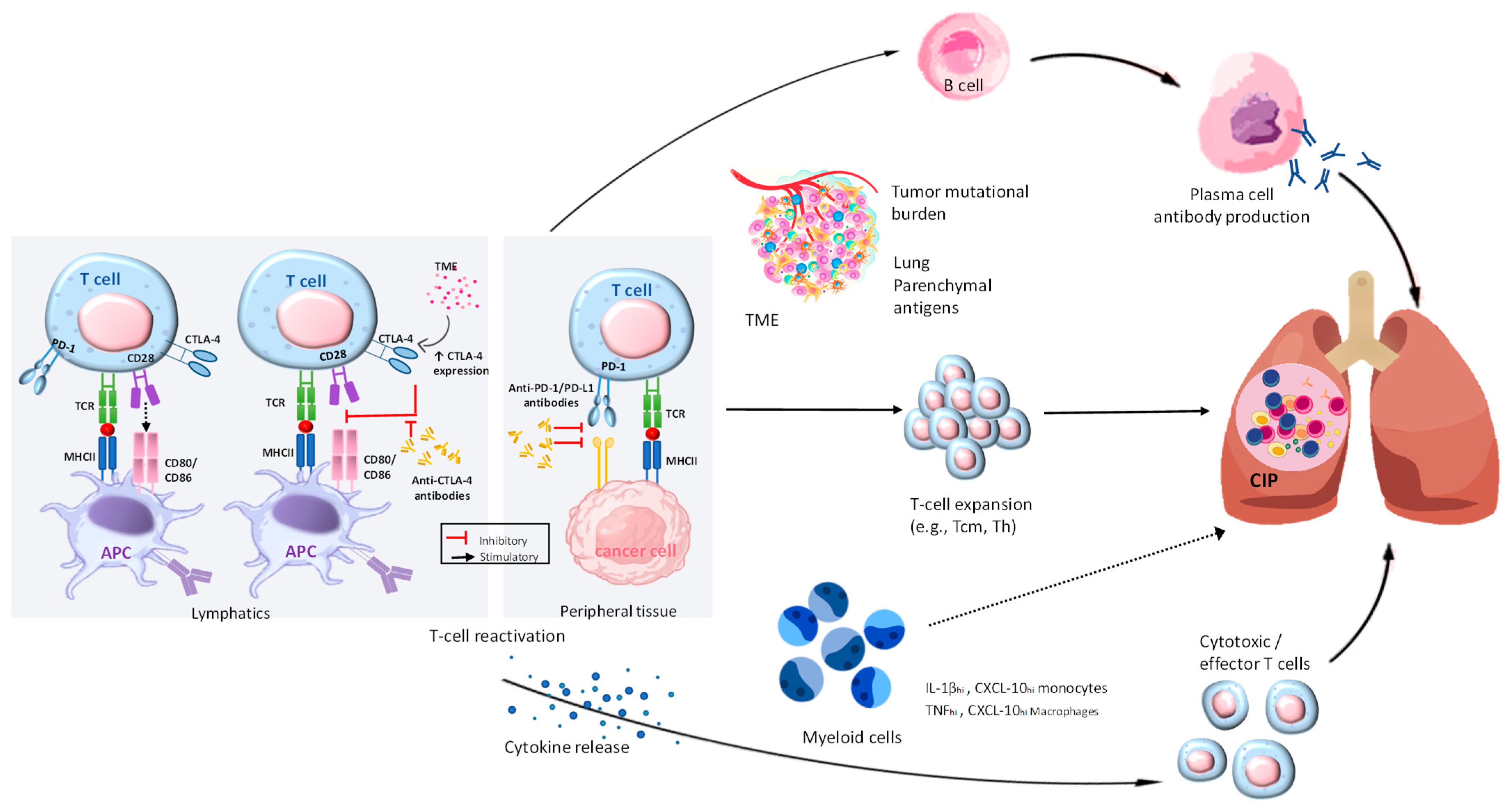 Pharmaceuticals 17 00991 g005