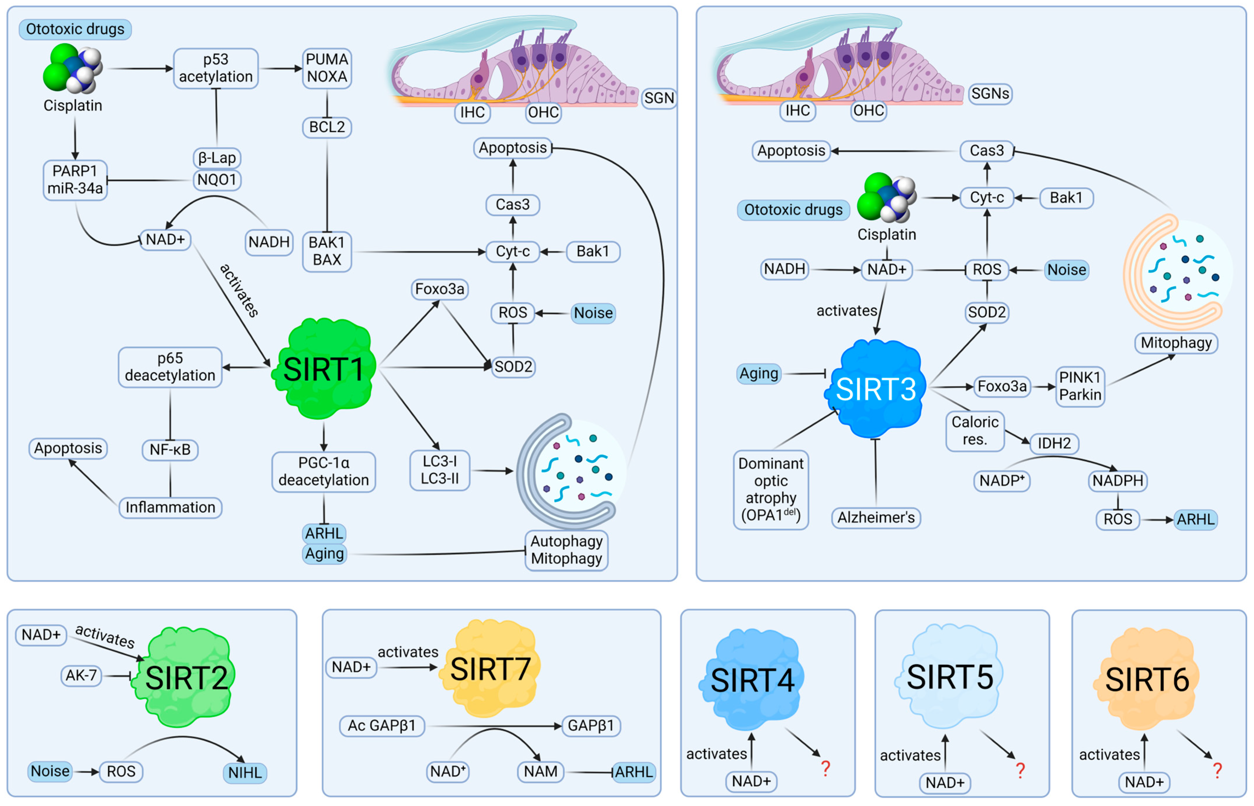Pharmaceuticals 17 00998 g003