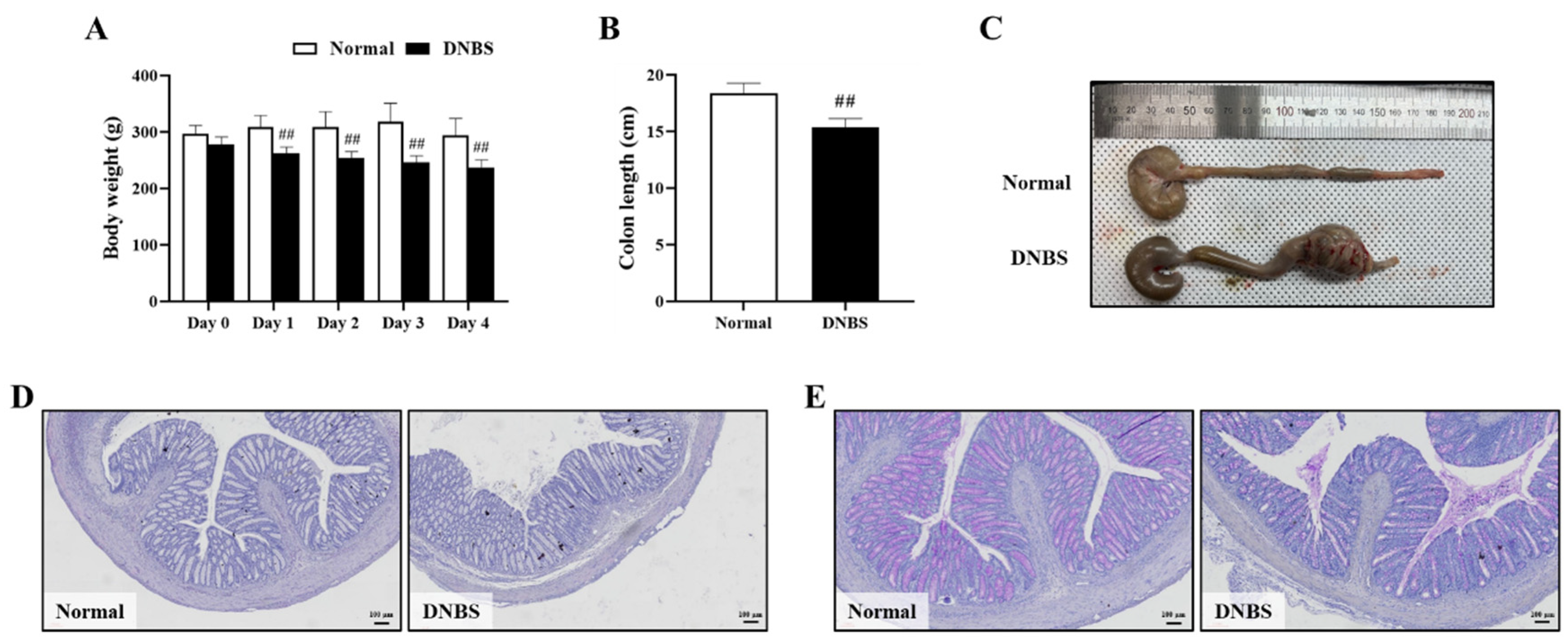 Pharmaceuticals 17 01001 g004
