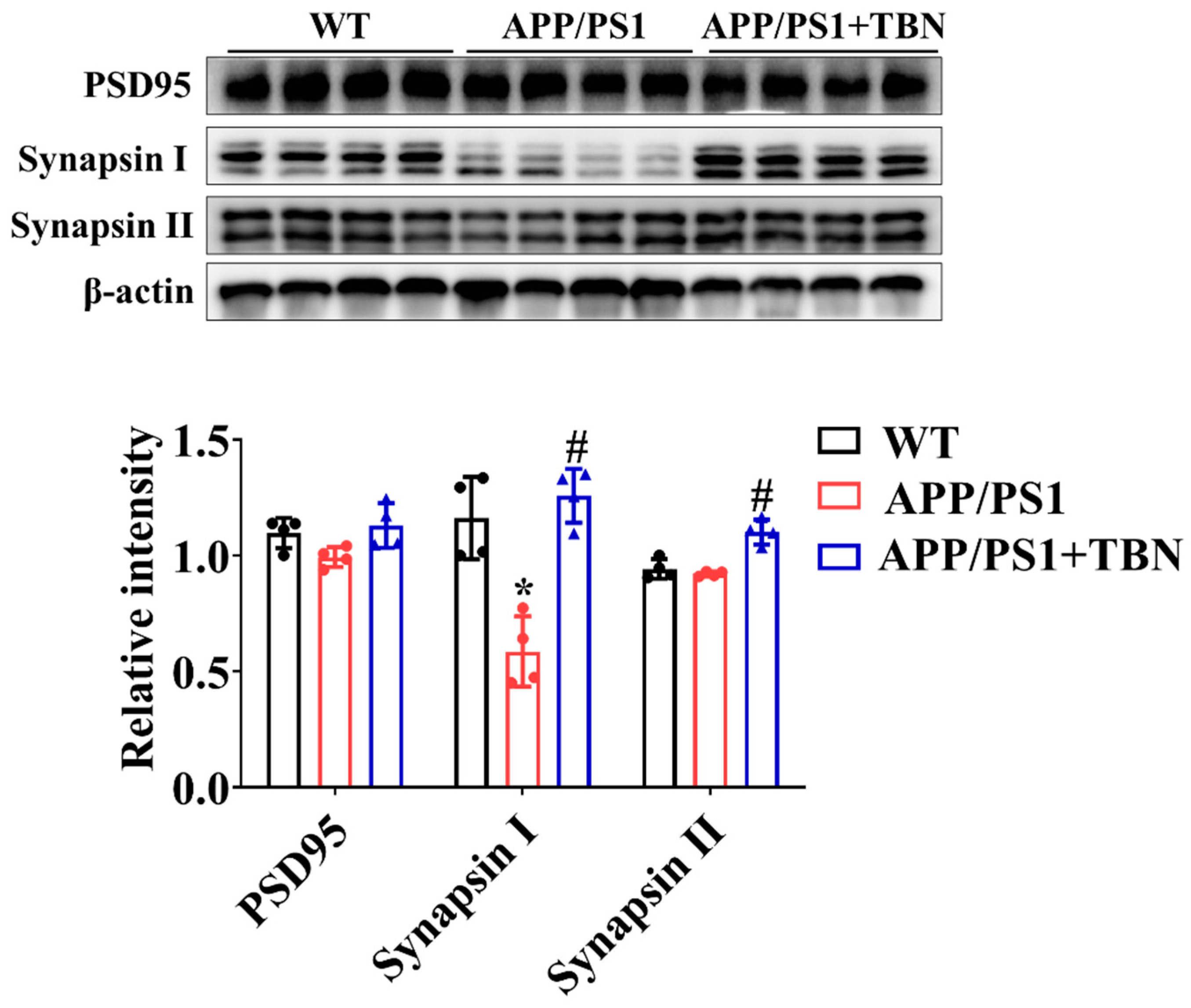 Pharmaceuticals 17 01005 g003