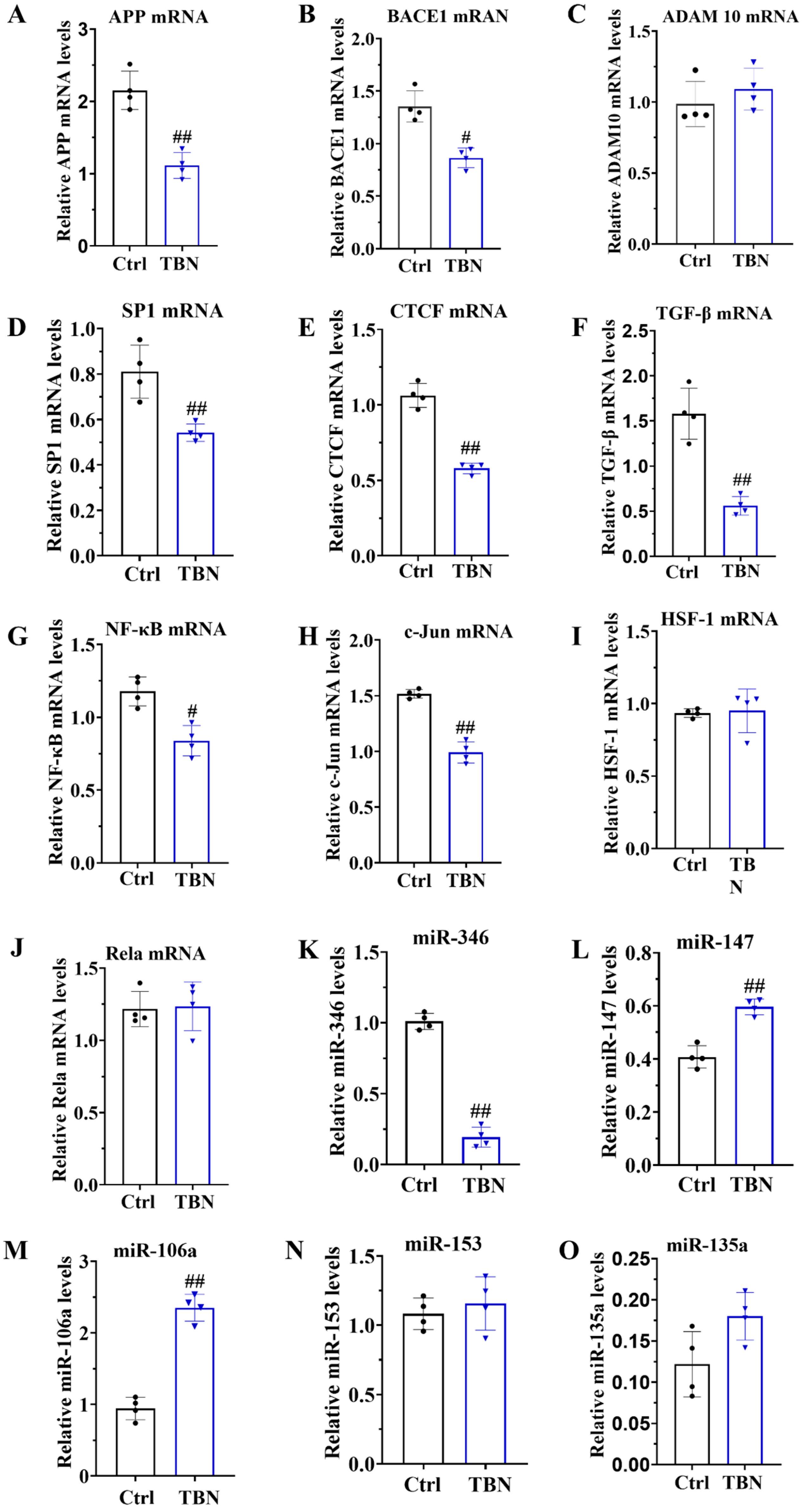 Pharmaceuticals 17 01005 g005