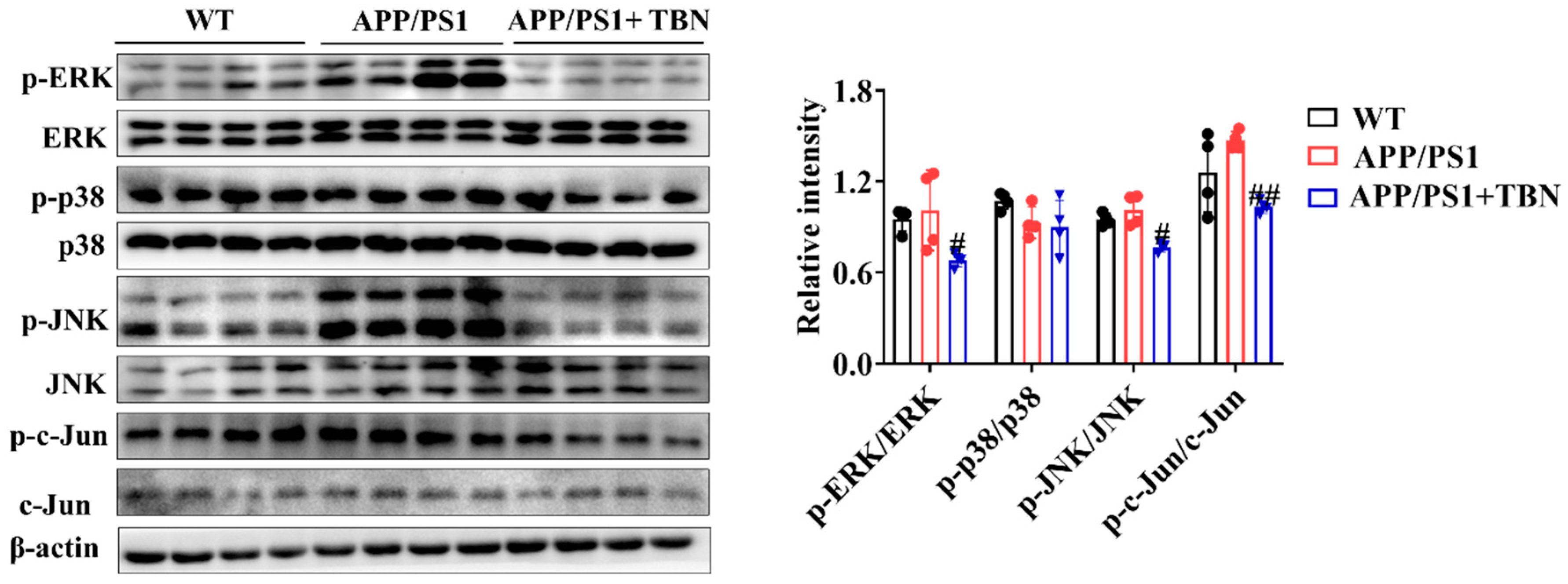 Pharmaceuticals 17 01005 g006
