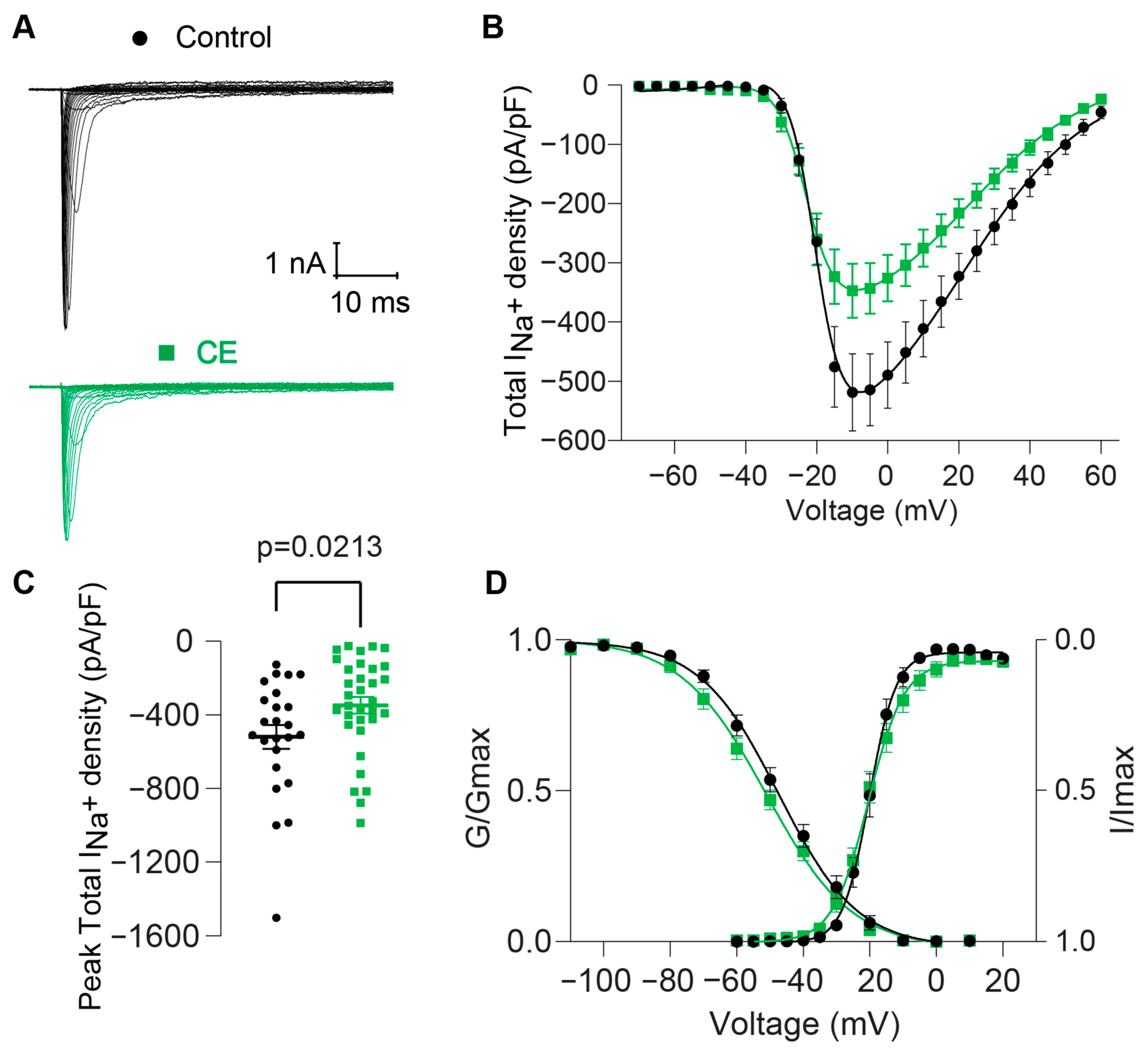 Pharmaceuticals 17 01006 g004