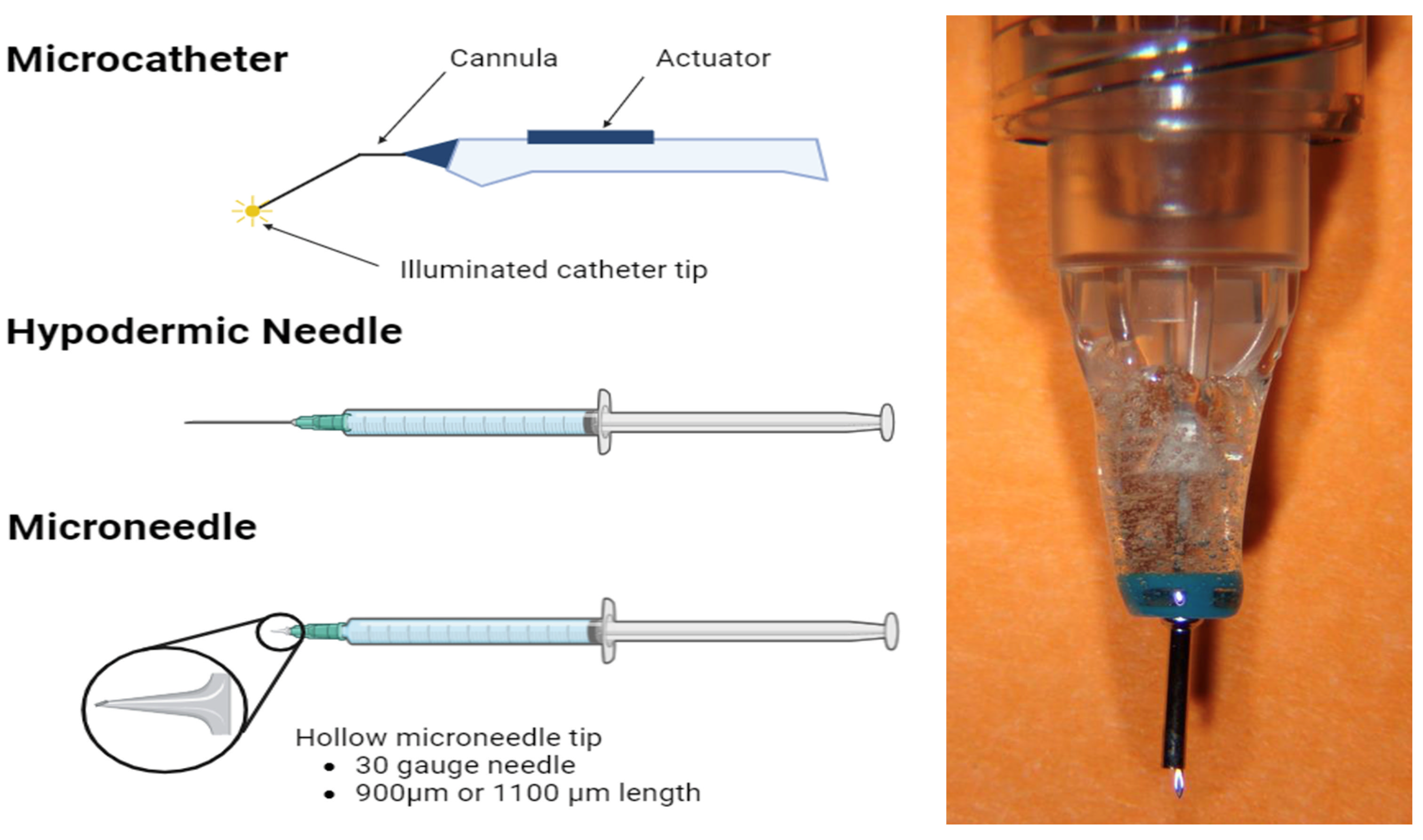 Pharmaceuticals 17 01007 g001