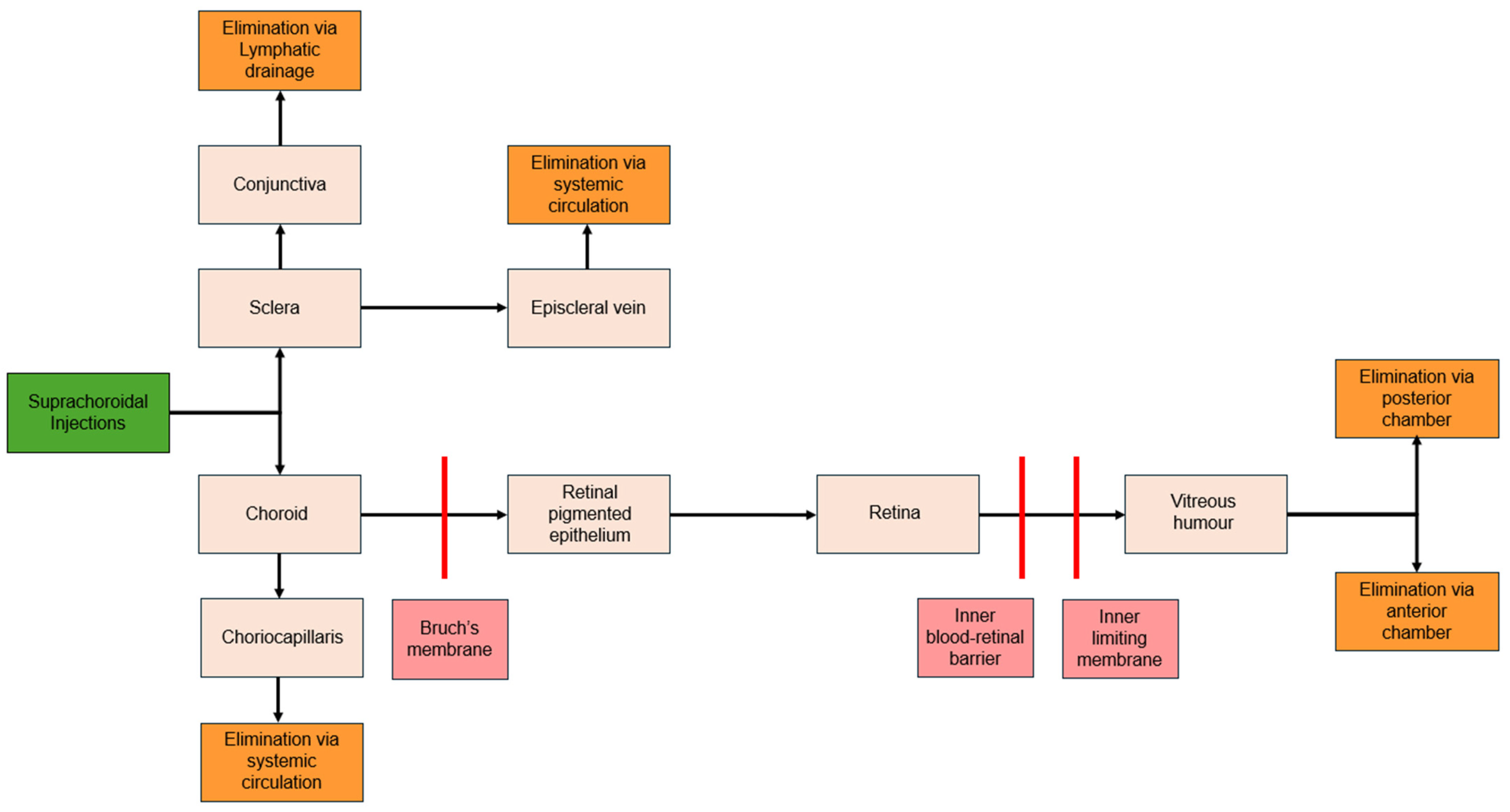 Pharmaceuticals 17 01007 g003